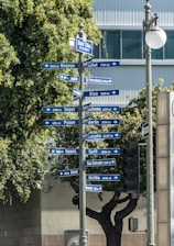blue and white street sign