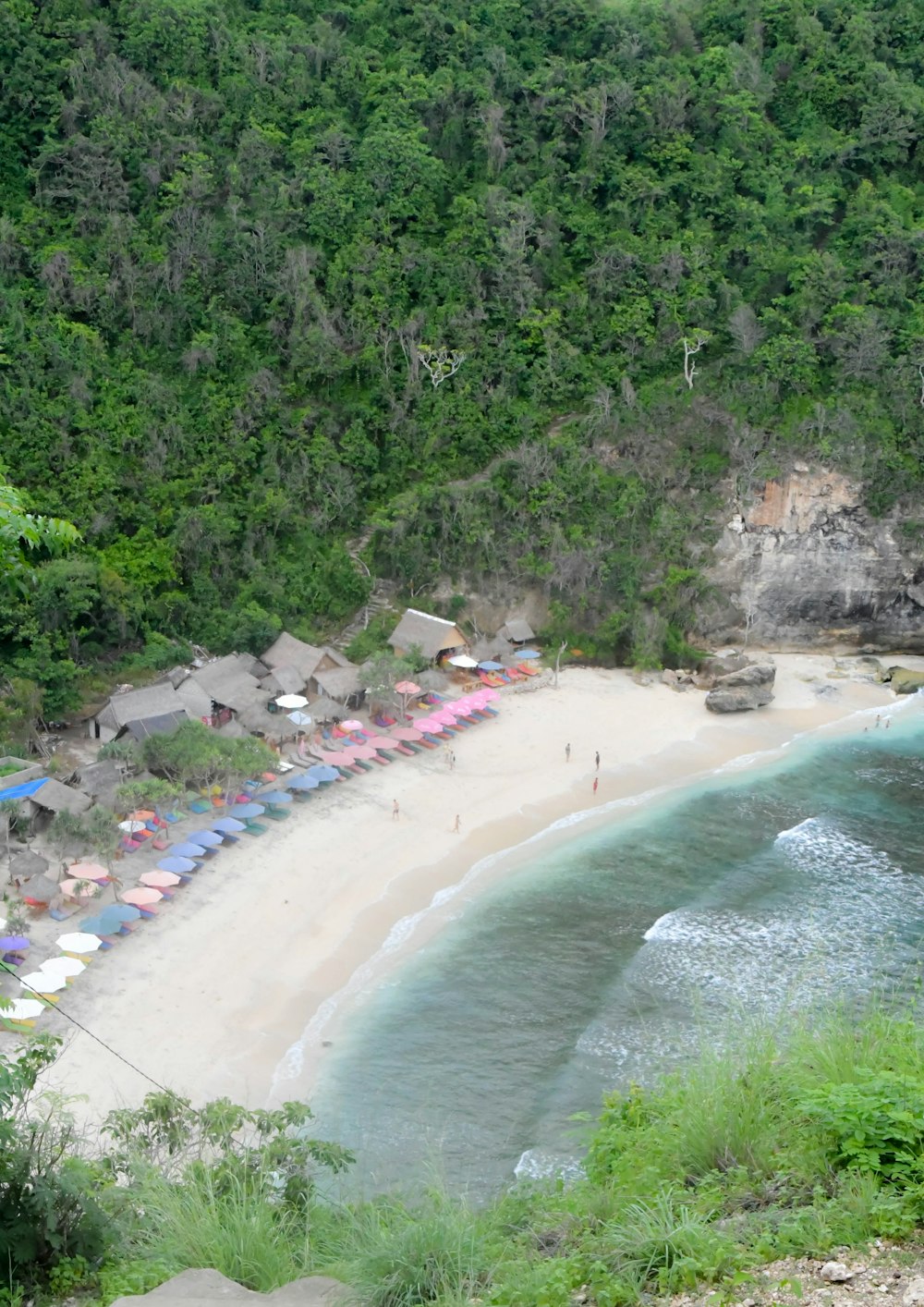 people on beach during daytime