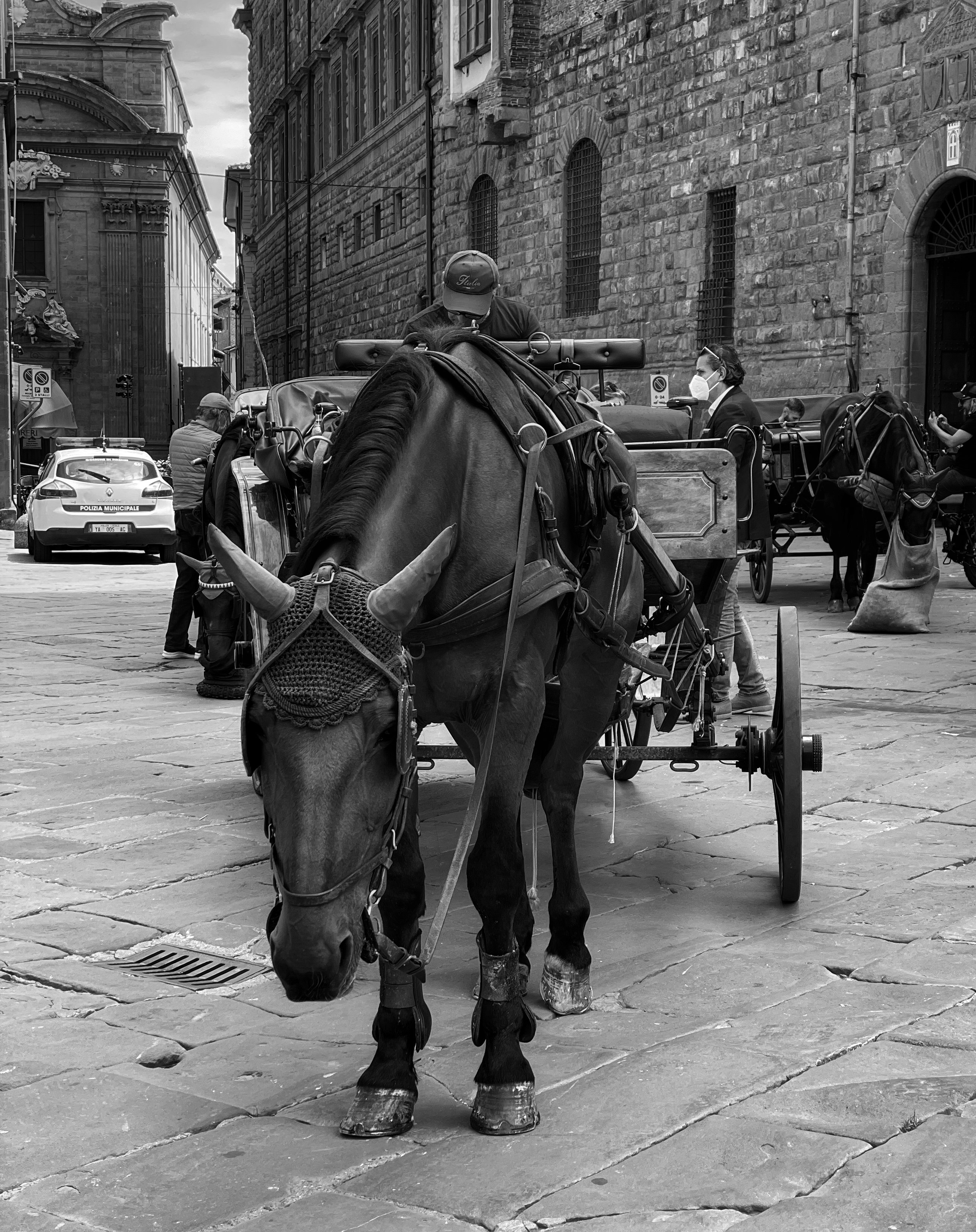 grayscale photo of man riding horse on street