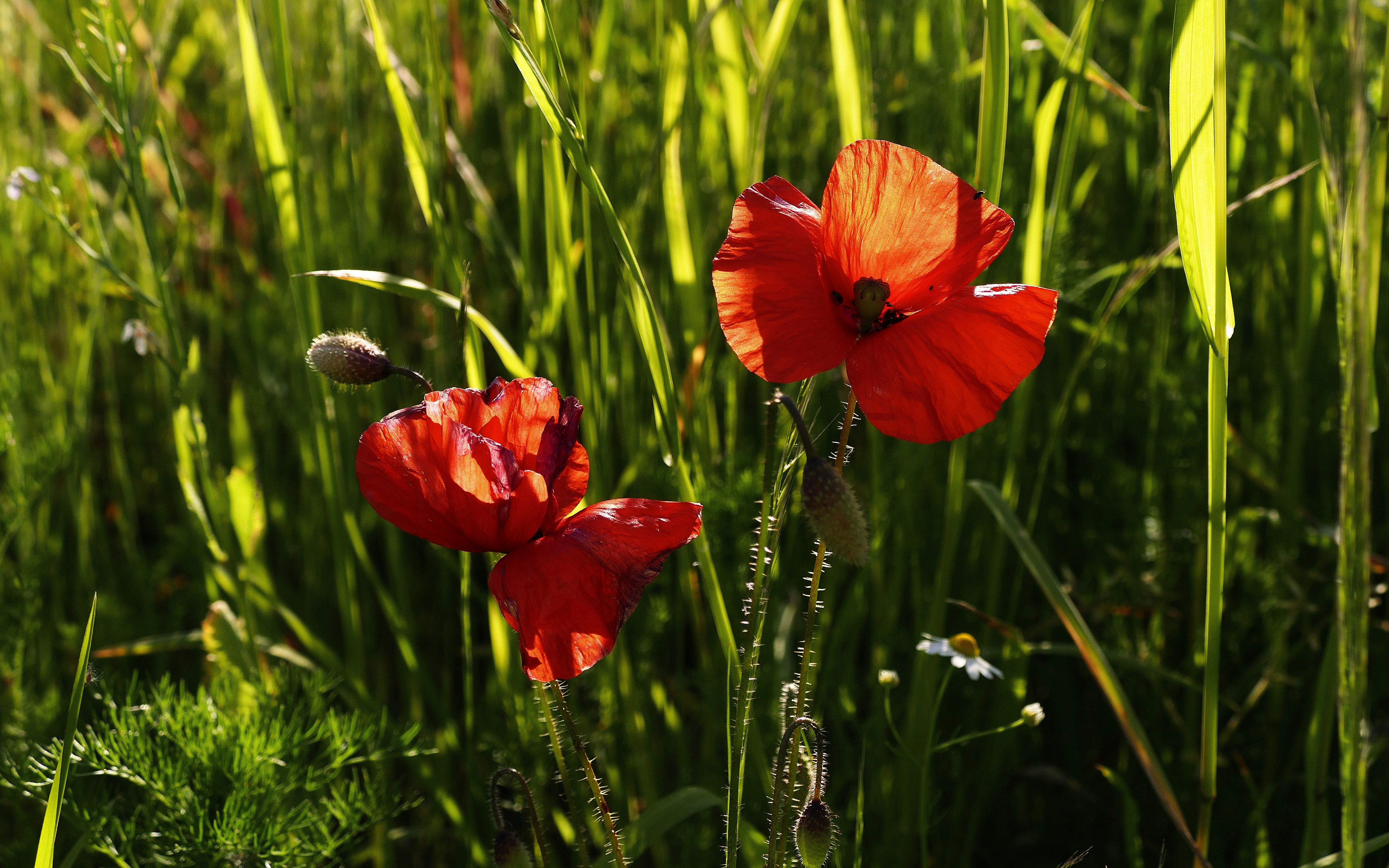 Photo by on_earth_in_space