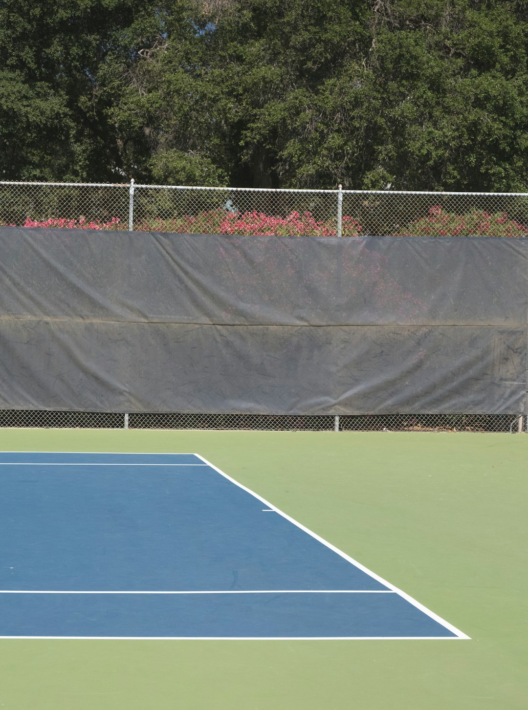 tennis court with net on the side