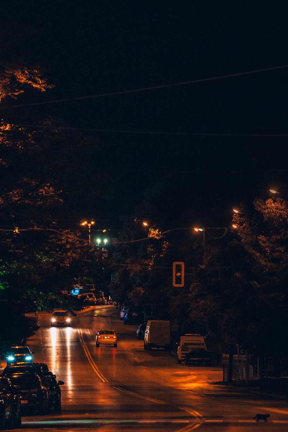 cars on road during night time