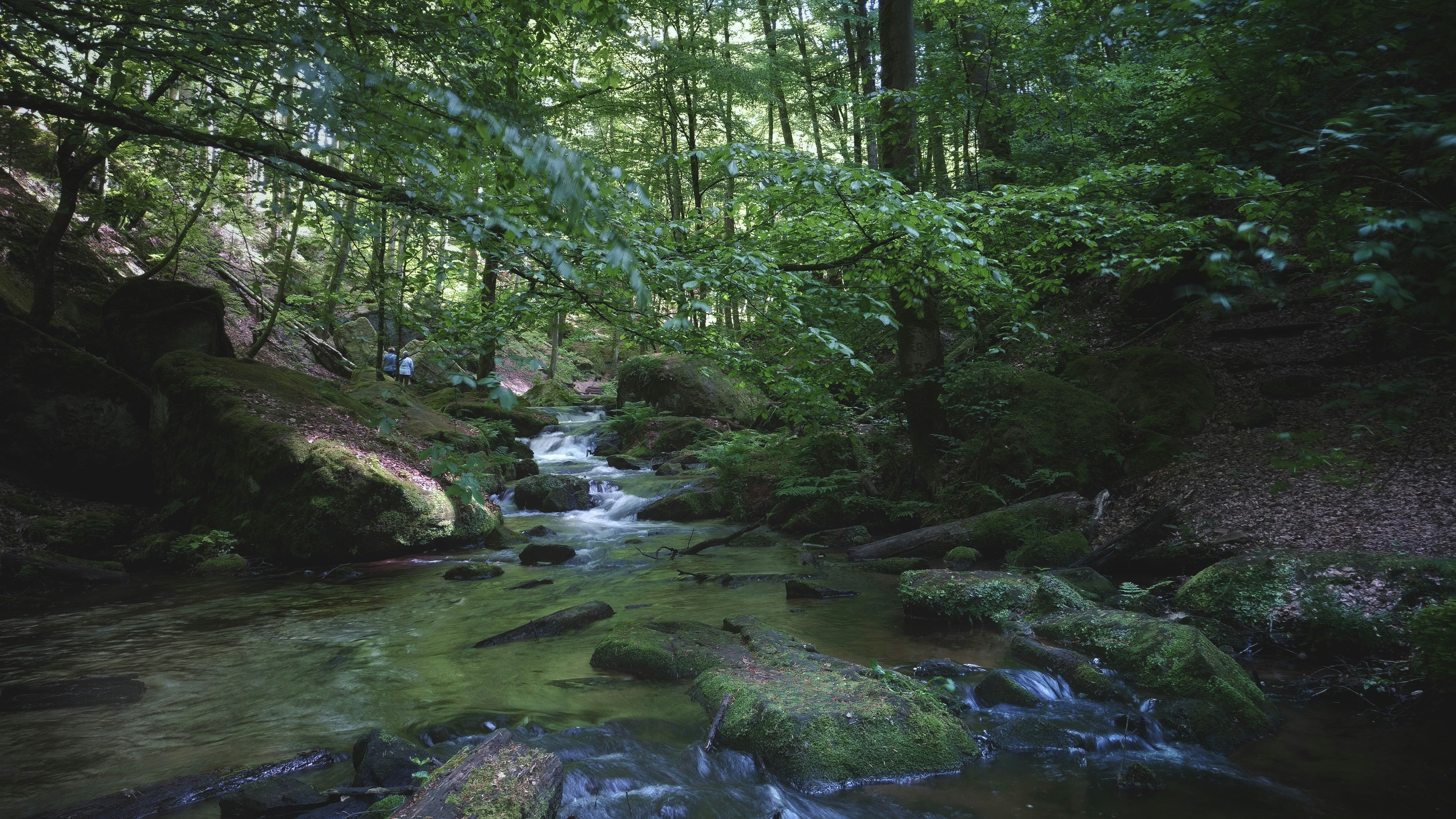 Photo by priyashbhugra