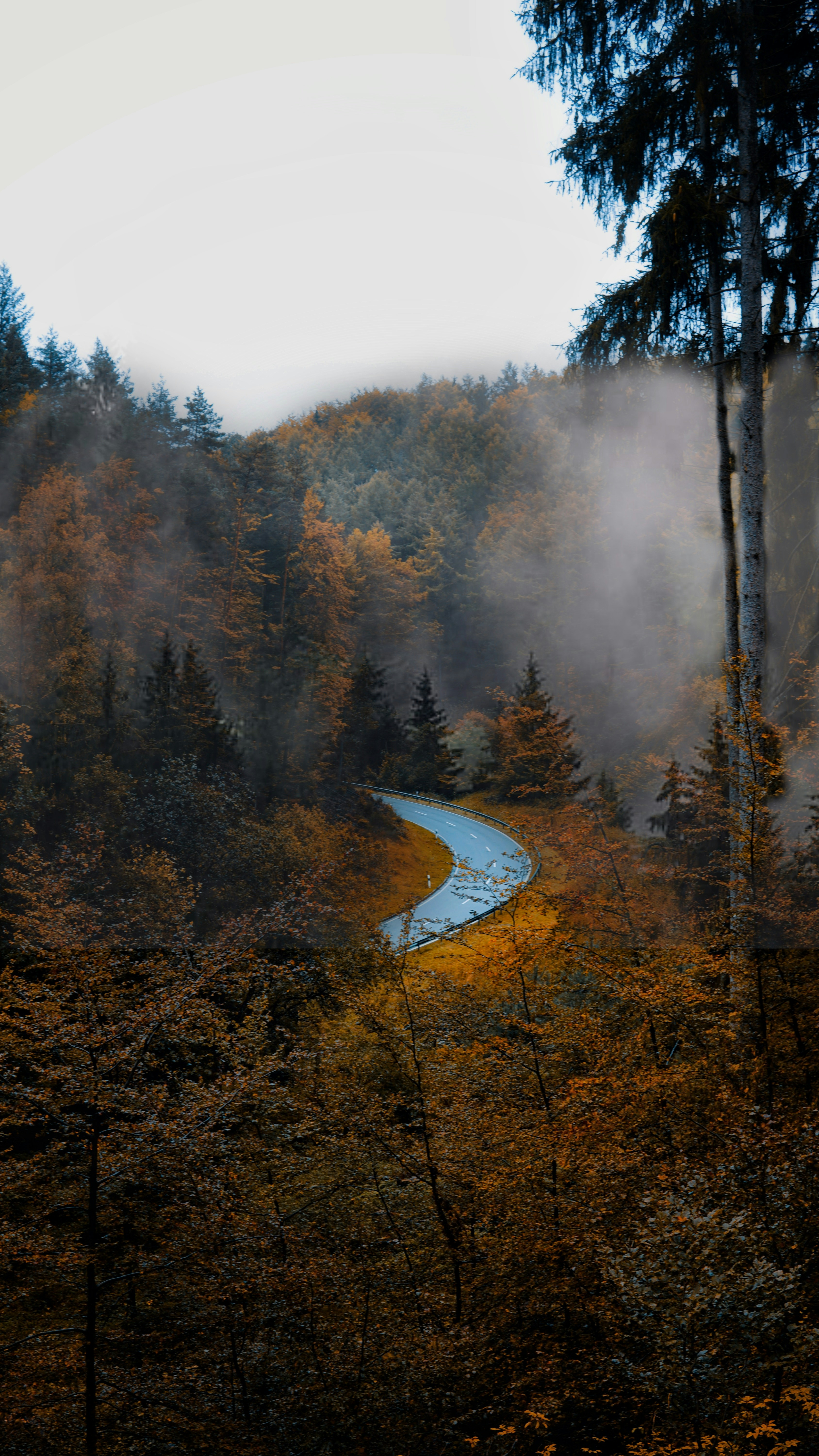 Photo by priyashbhugra