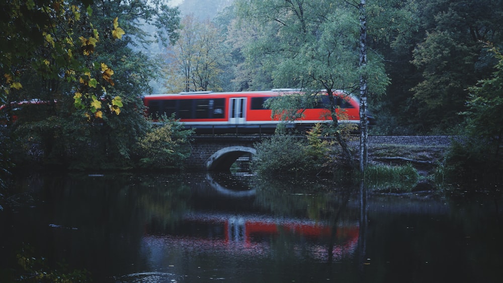 red and black bus on the river