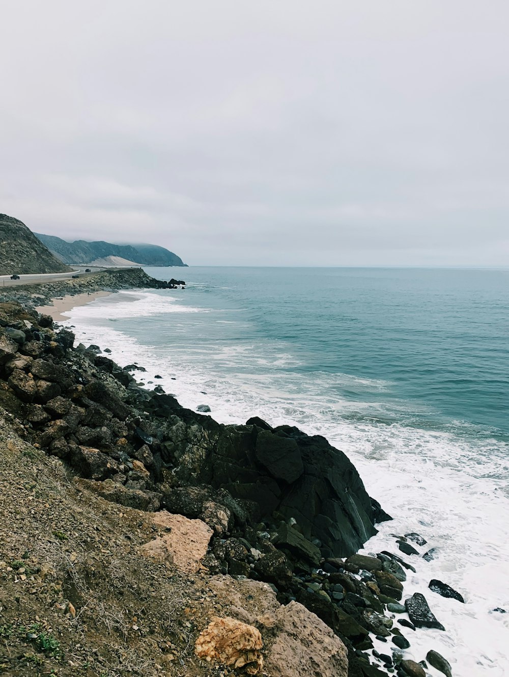 green grass on rocky shore during daytime