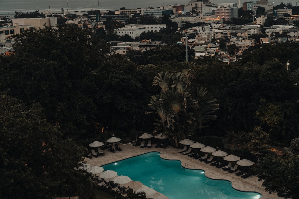 Vista aérea de la piscina rodeada de árboles durante el día