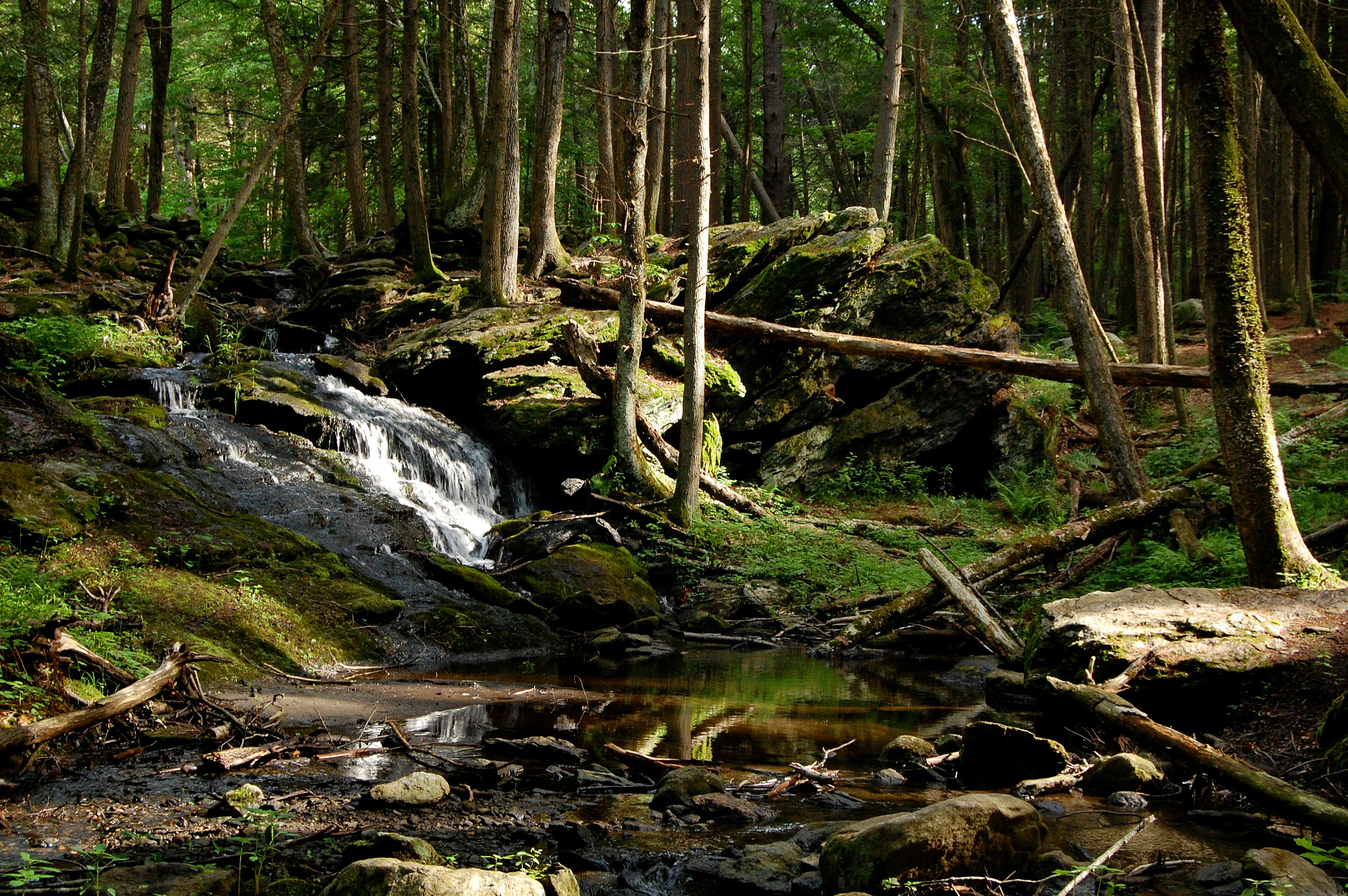 Photo by shane_keaney