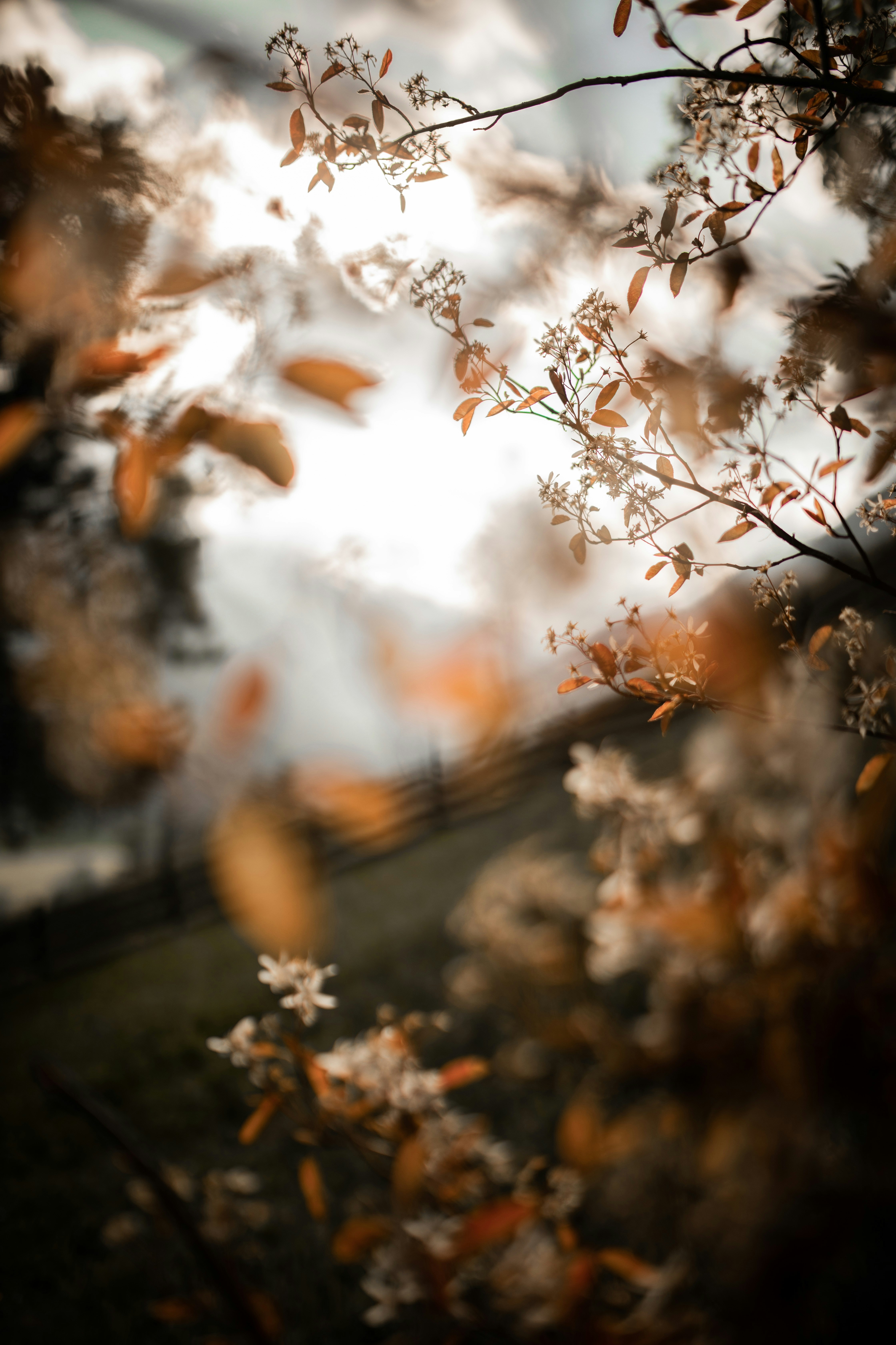 Photo by kajareichardtphotos