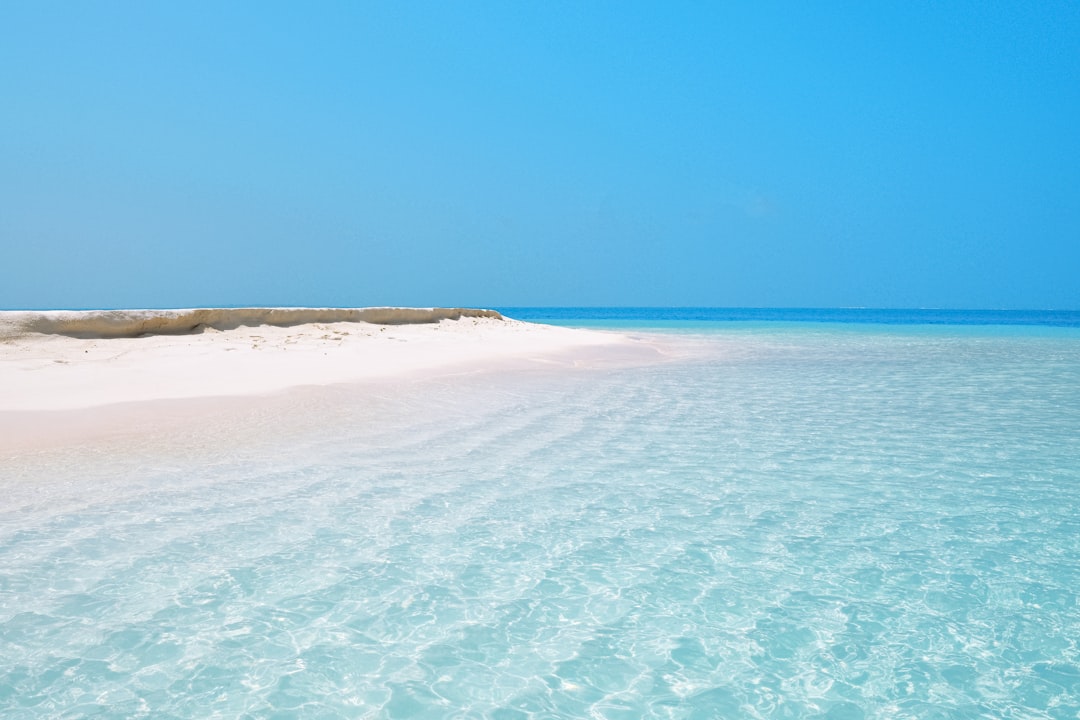 white sand beach during daytime