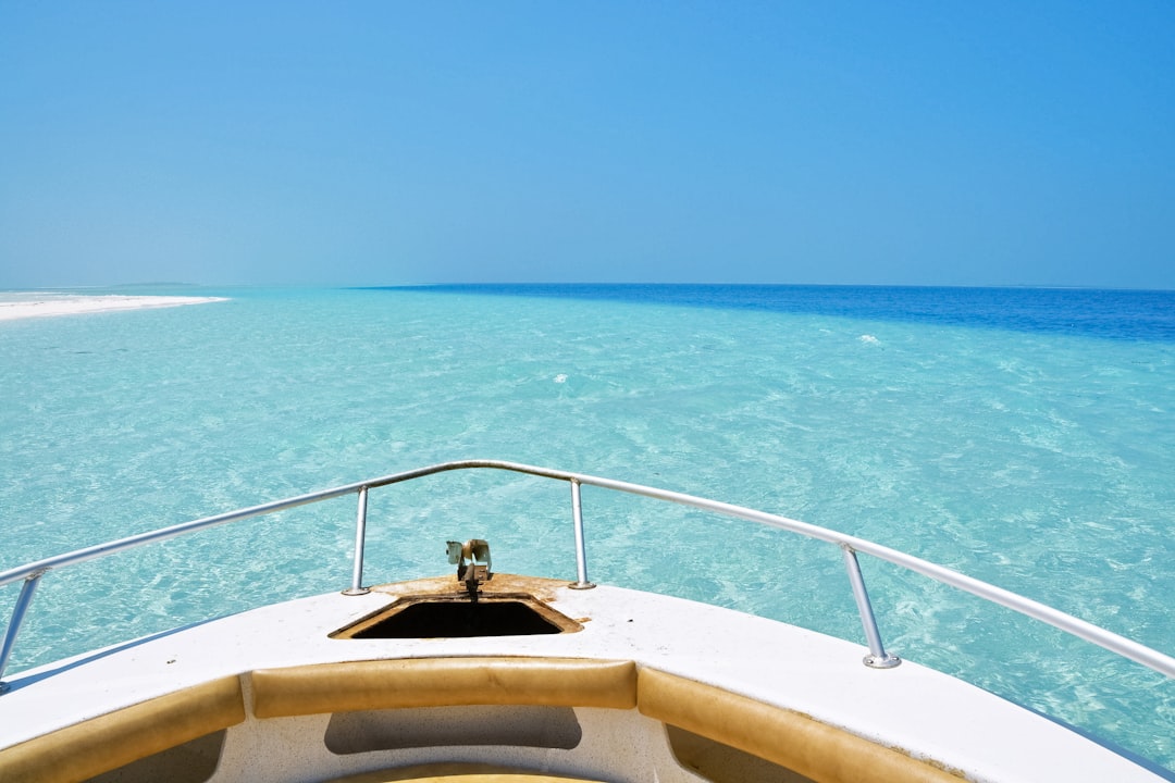 white and brown boat on sea during daytime