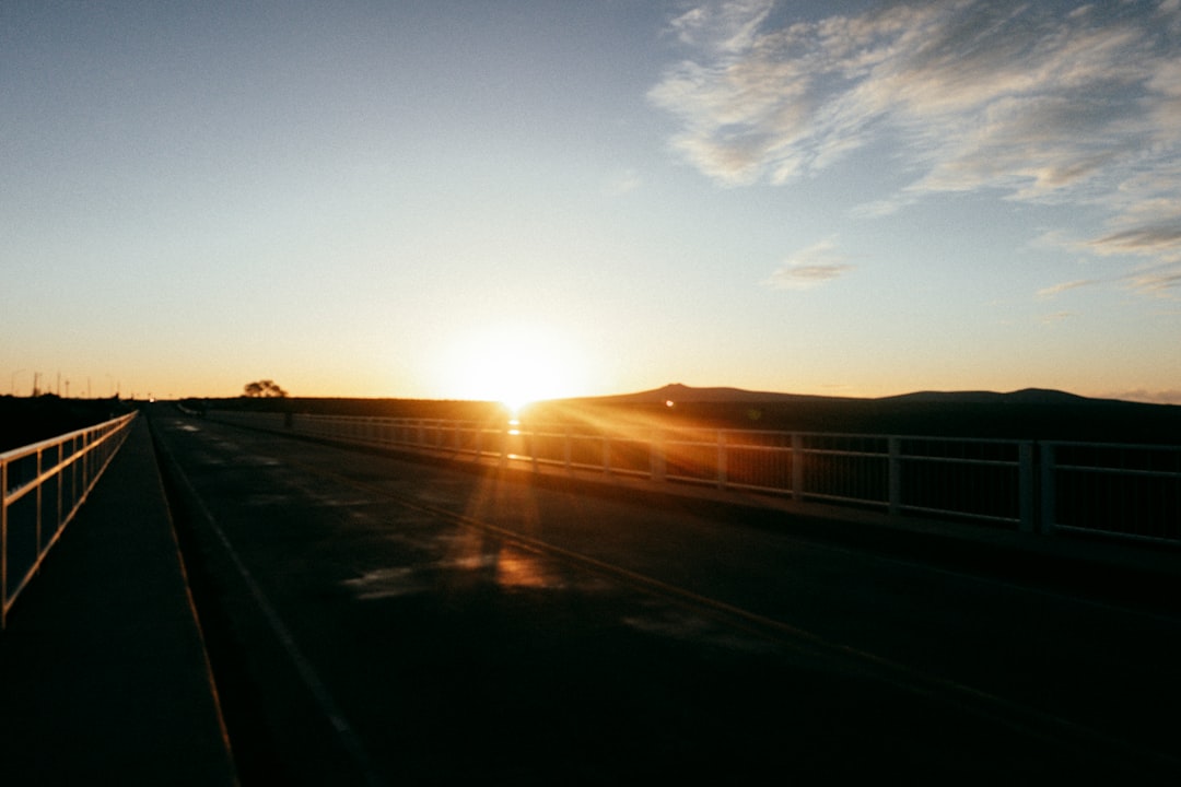 silhouette of trees and road during sunset