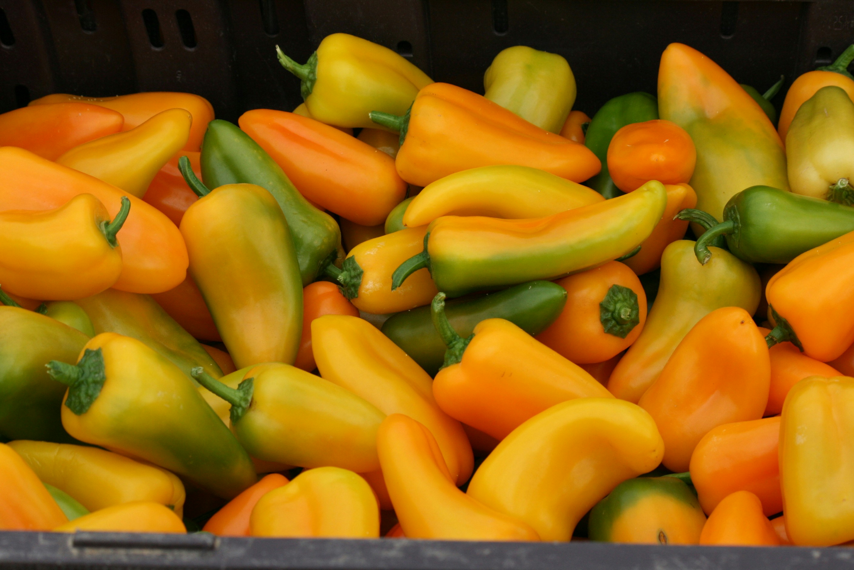 Photo by deadseadaddy