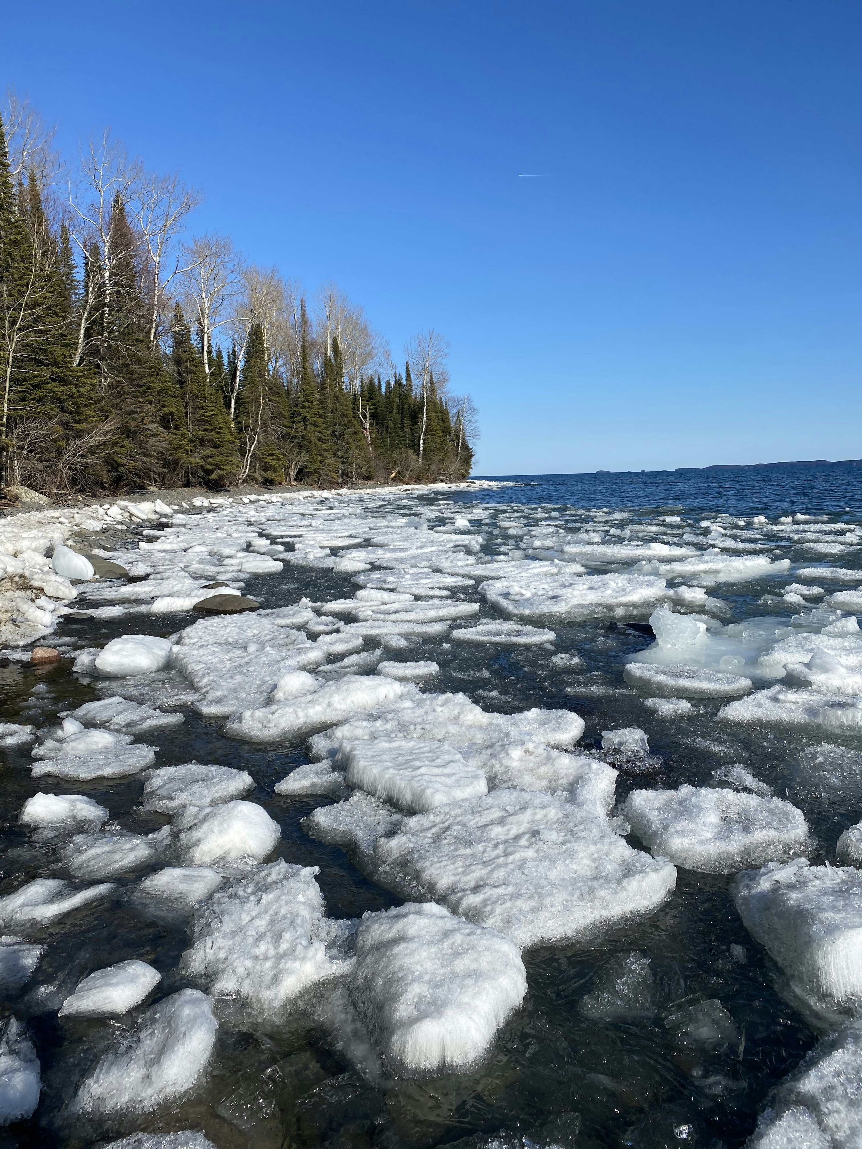 gray rocky shore under blue sky during daytime