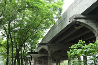 A concrete bridge structure surrounded by lush green trees, indicating a juxtaposition between nature and man-made architecture. The bridge's supporting pillars are visible, and the foliage is abundant, creating a serene and balanced setting.