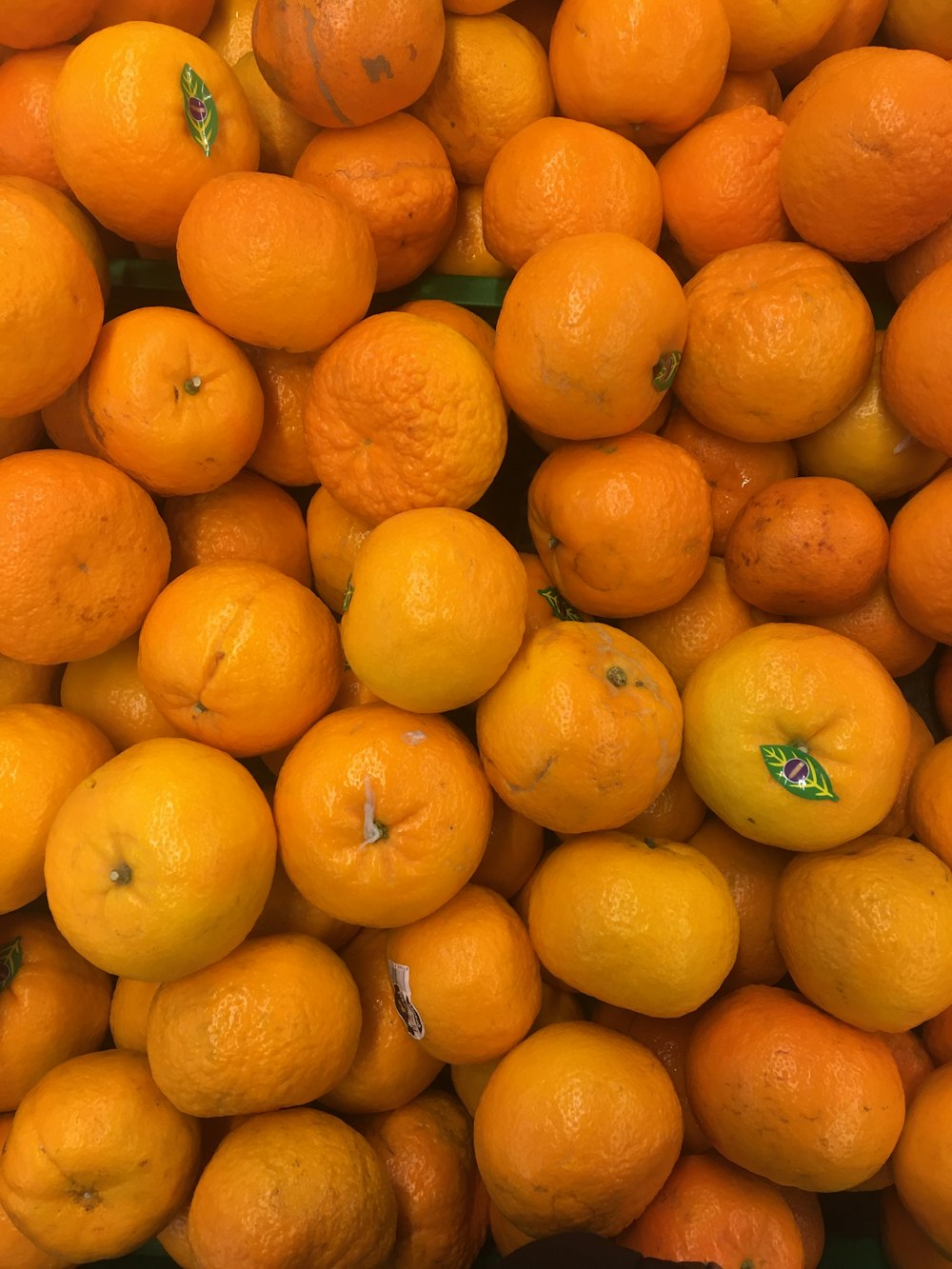 orange fruits on white ceramic plate