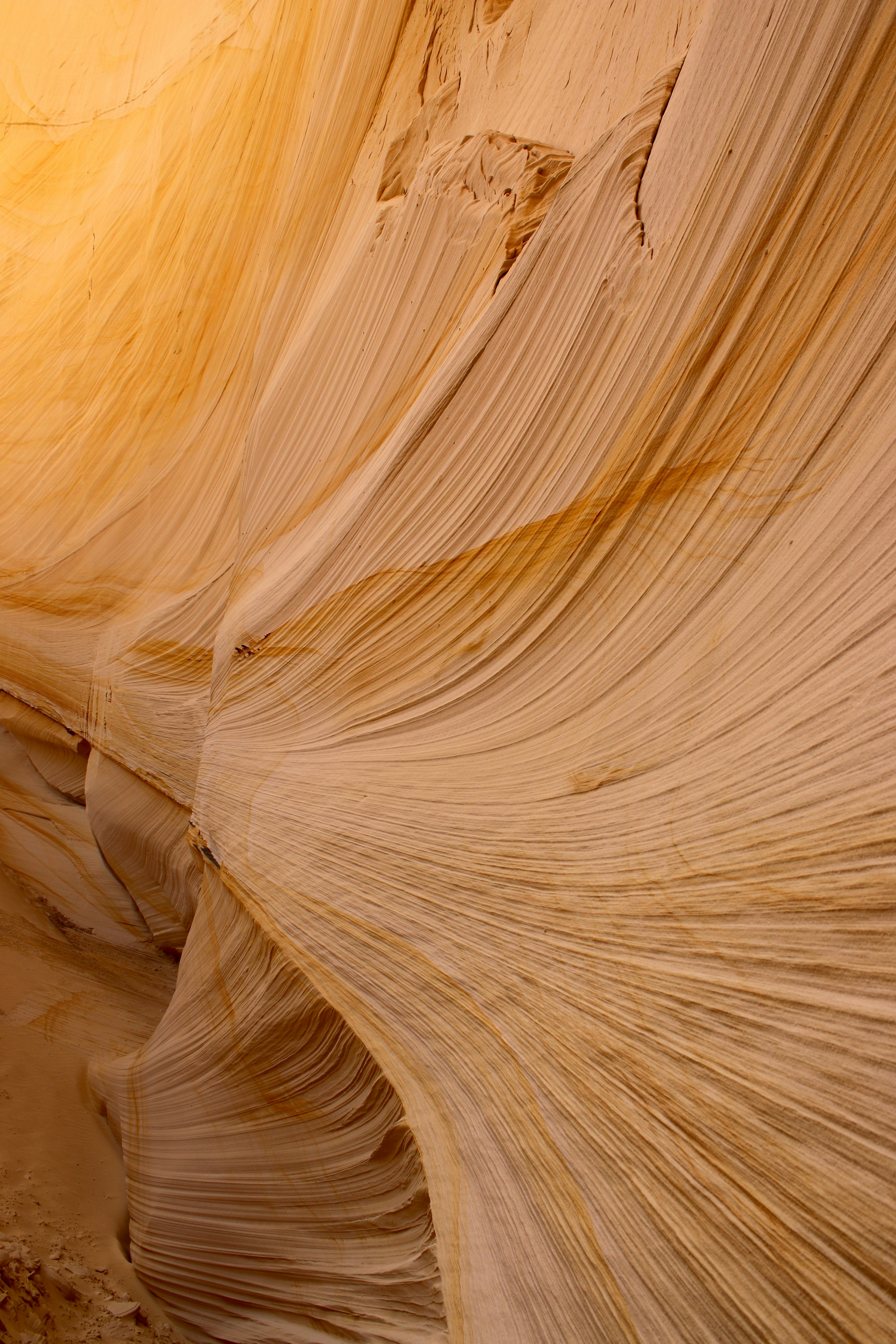 茶色と白の抽象画