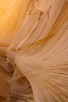 Stacks of smooth sandstone blocks bathed in warm sunlight at the quarry.