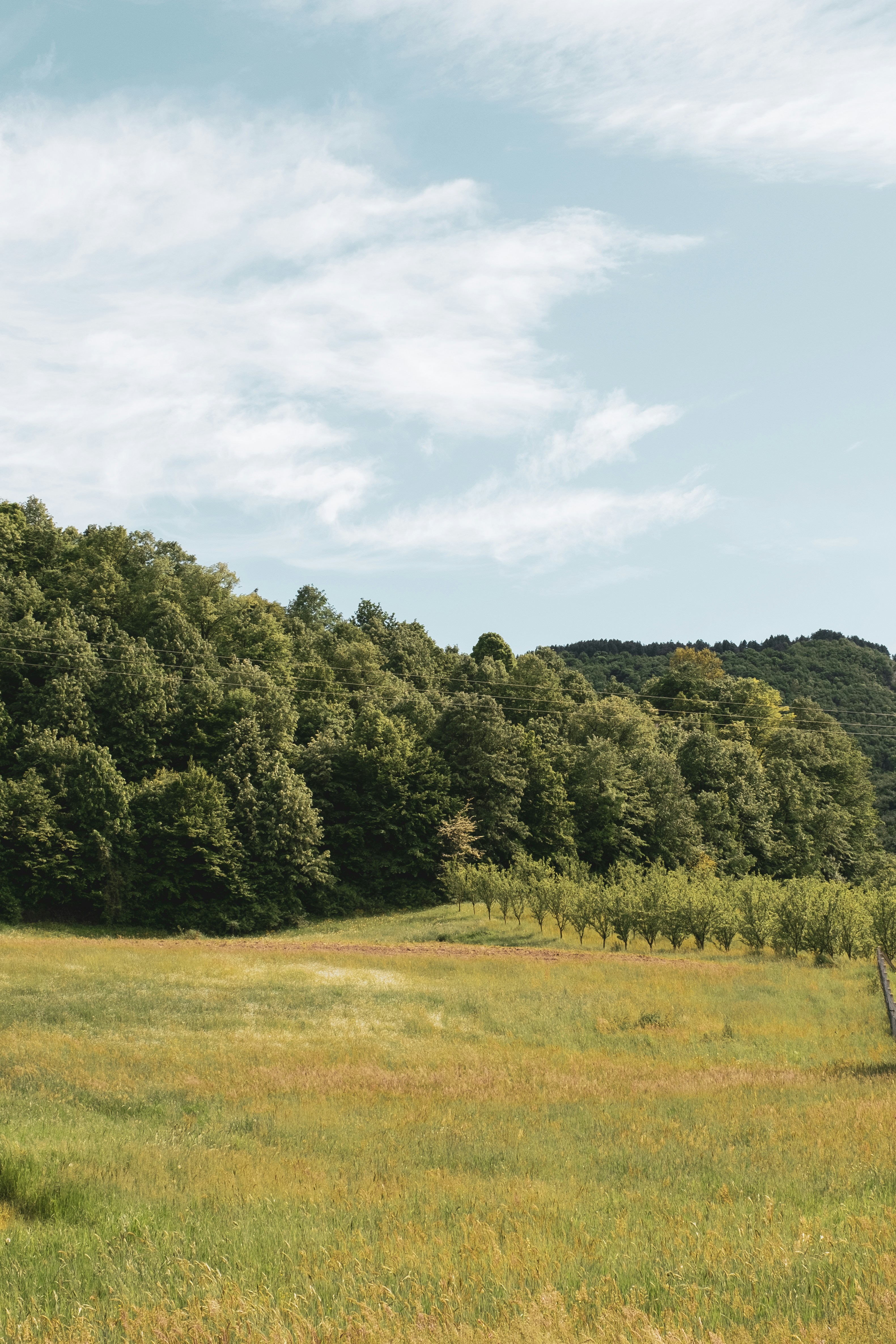 Photo by muhamed77777