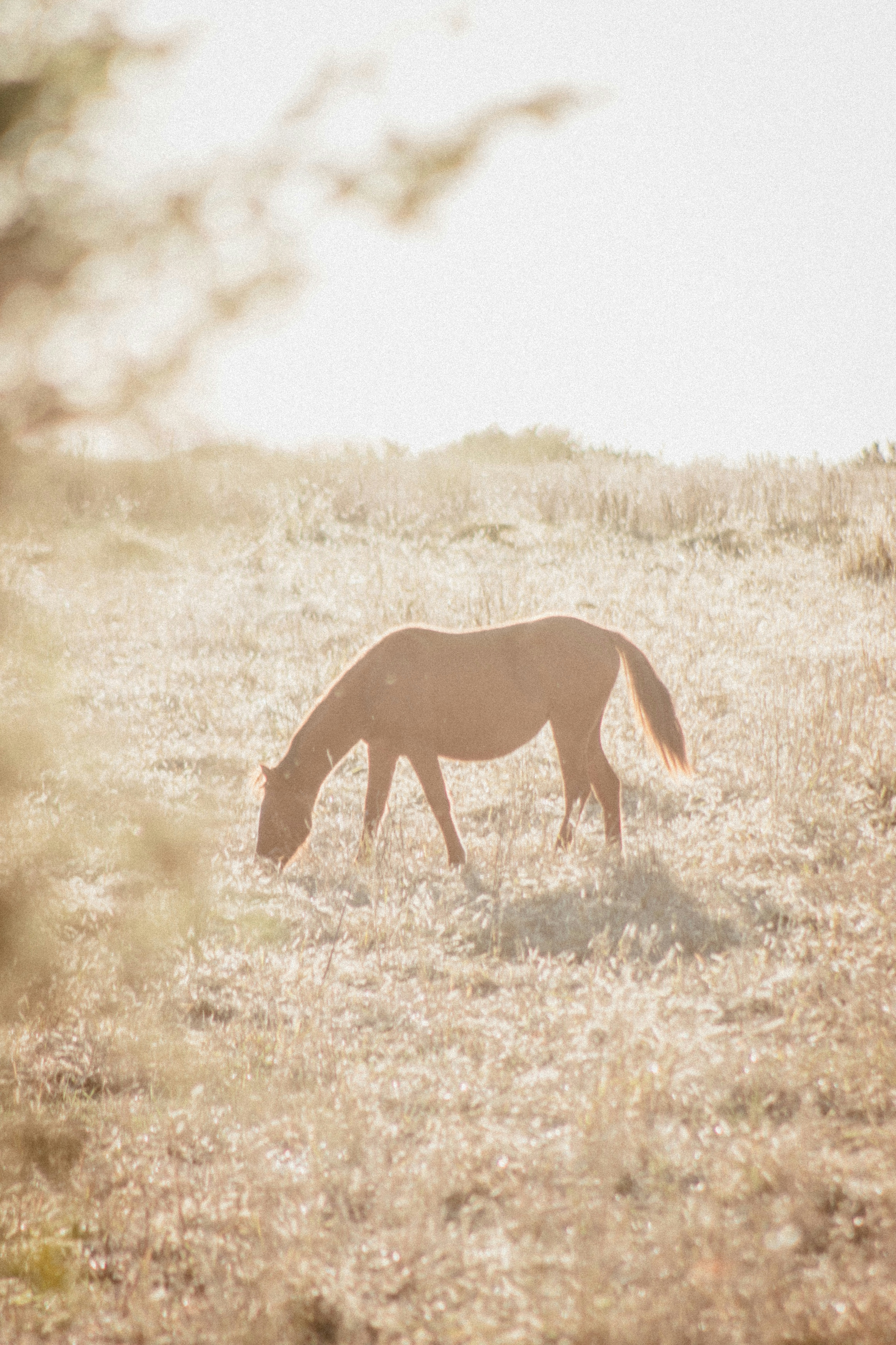 Photo by ggiqueaux