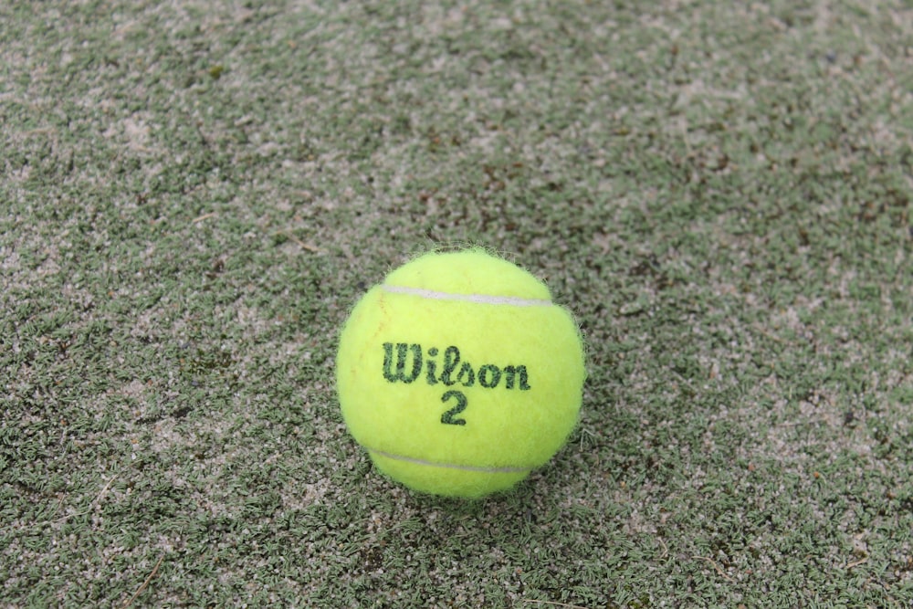 緑の芝生の上の緑のテニスボール