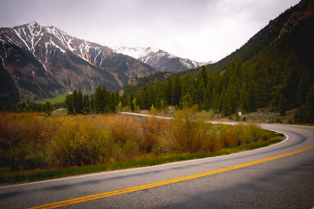 gray concrete road near green trees and mountains during daytime