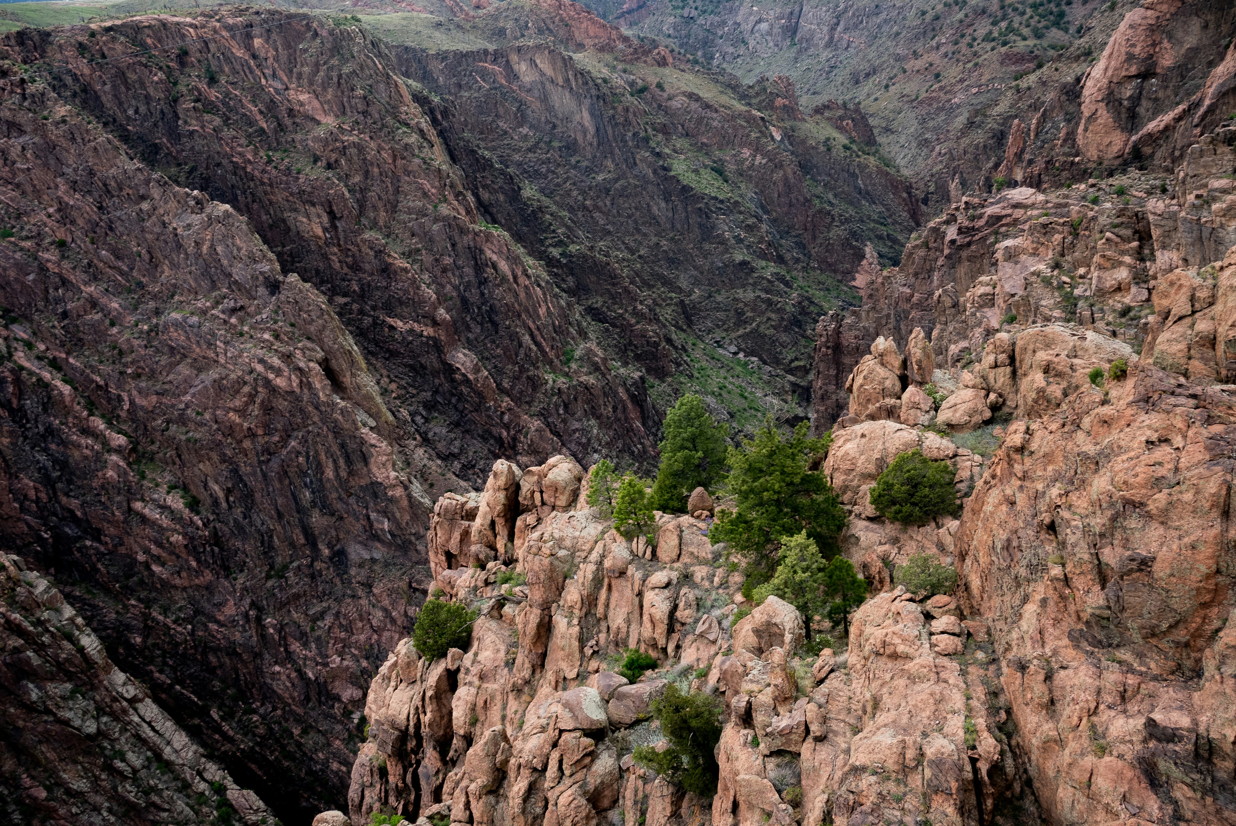 Photo by giginkrishnan