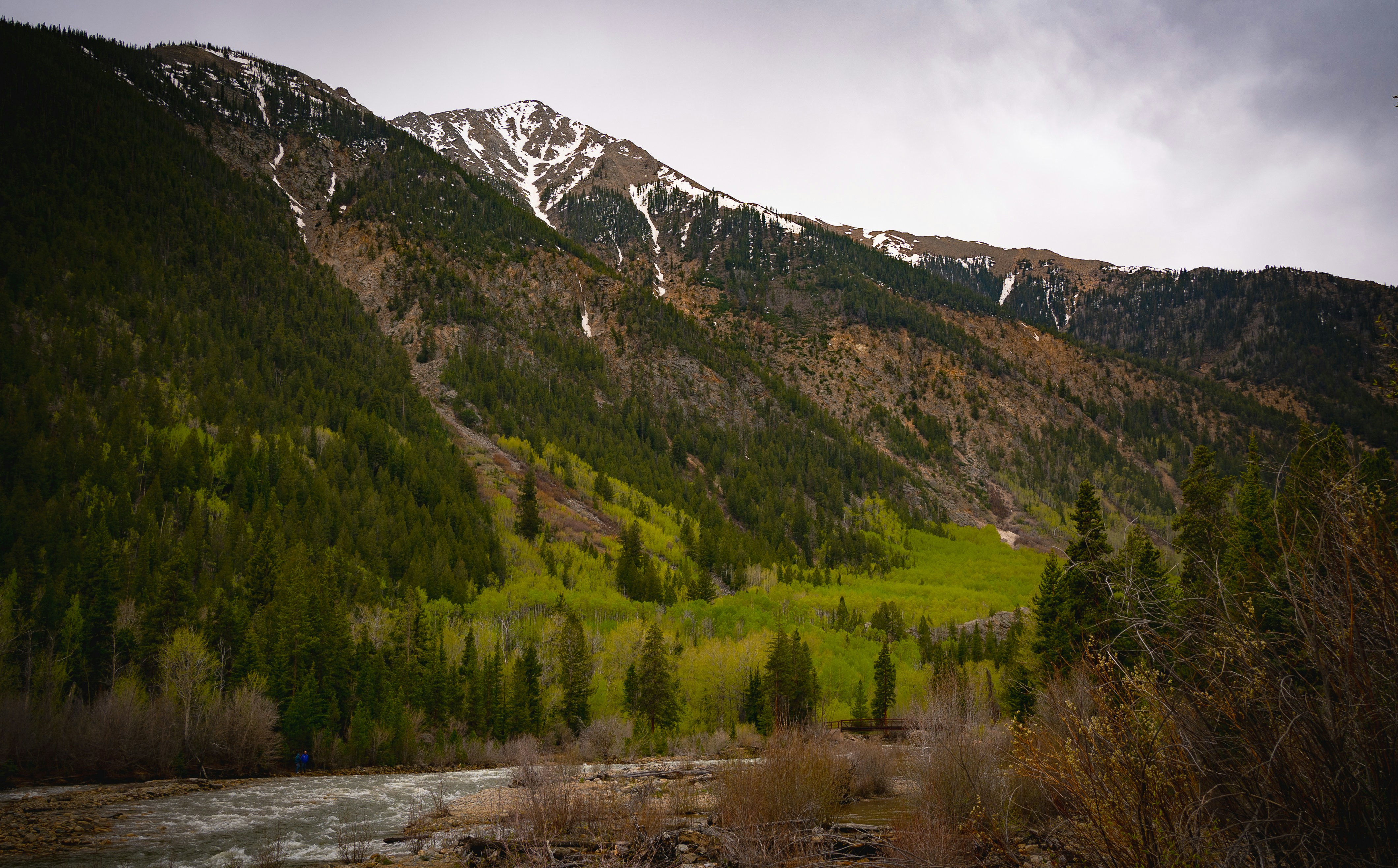 Photo by giginkrishnan