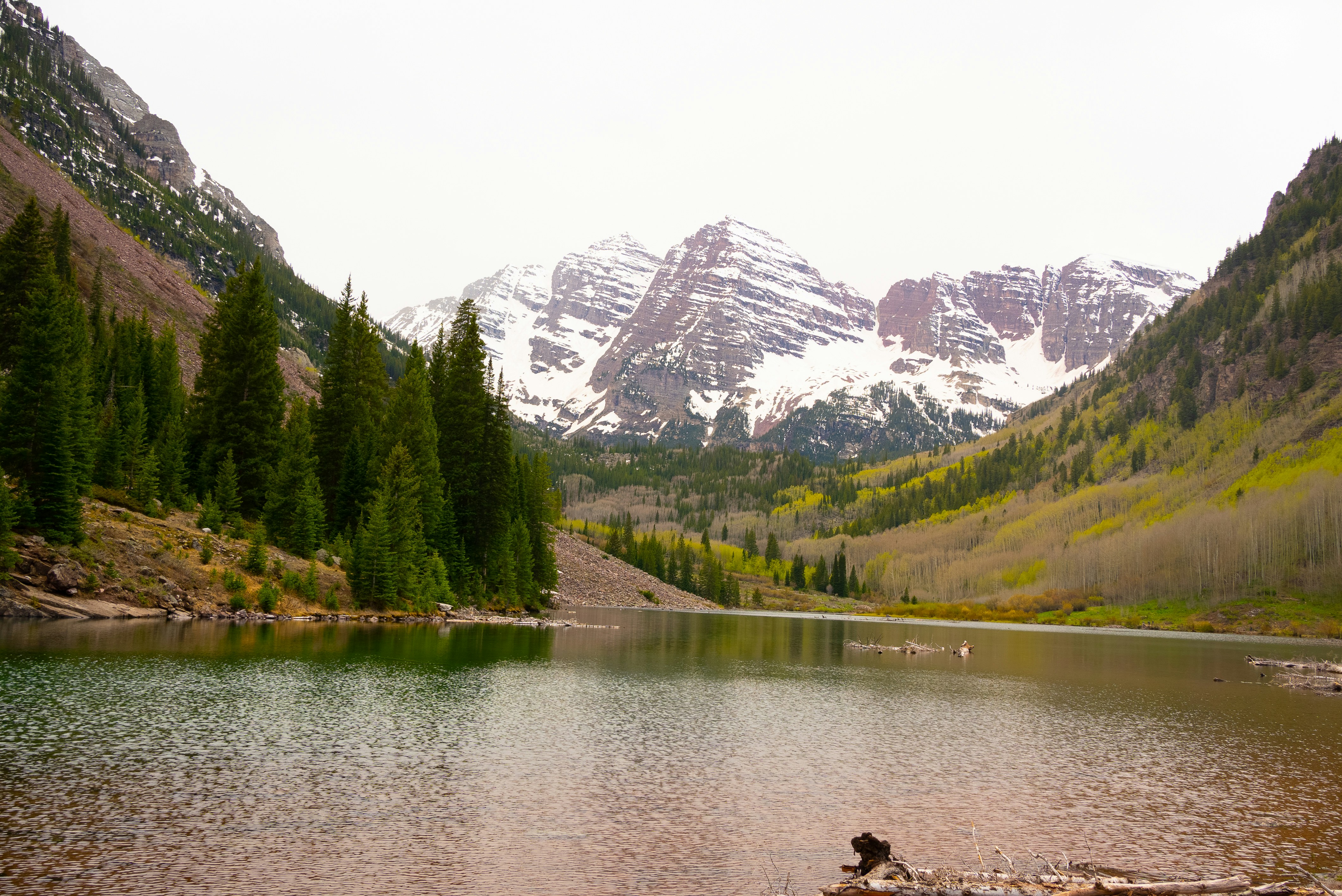 Photo by giginkrishnan