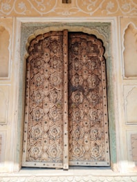 Elegant wooden door with intricate carvings, set in a modern interior.