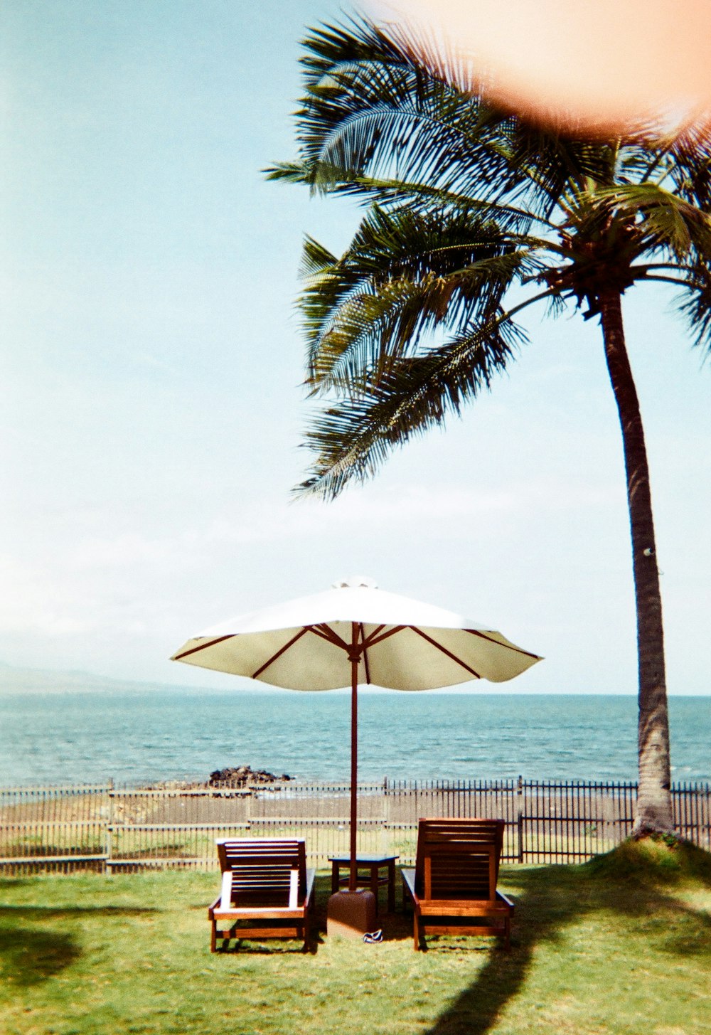 white umbrella near palm tree on beach during daytime