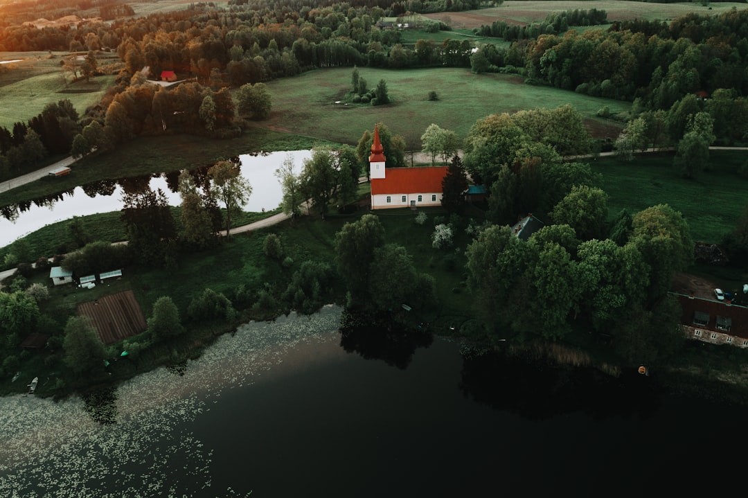 red and white house near green trees and river during daytime