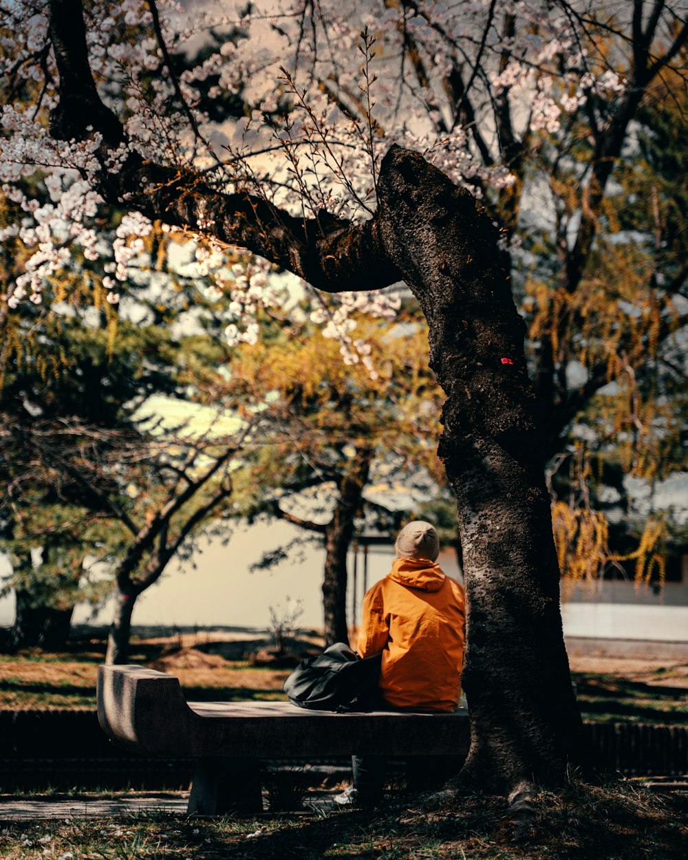 man in brown jacket sitting on bench near tree during daytime