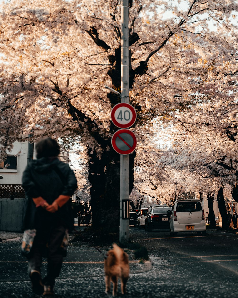 woman in black jacket standing near red and white street sign during daytime