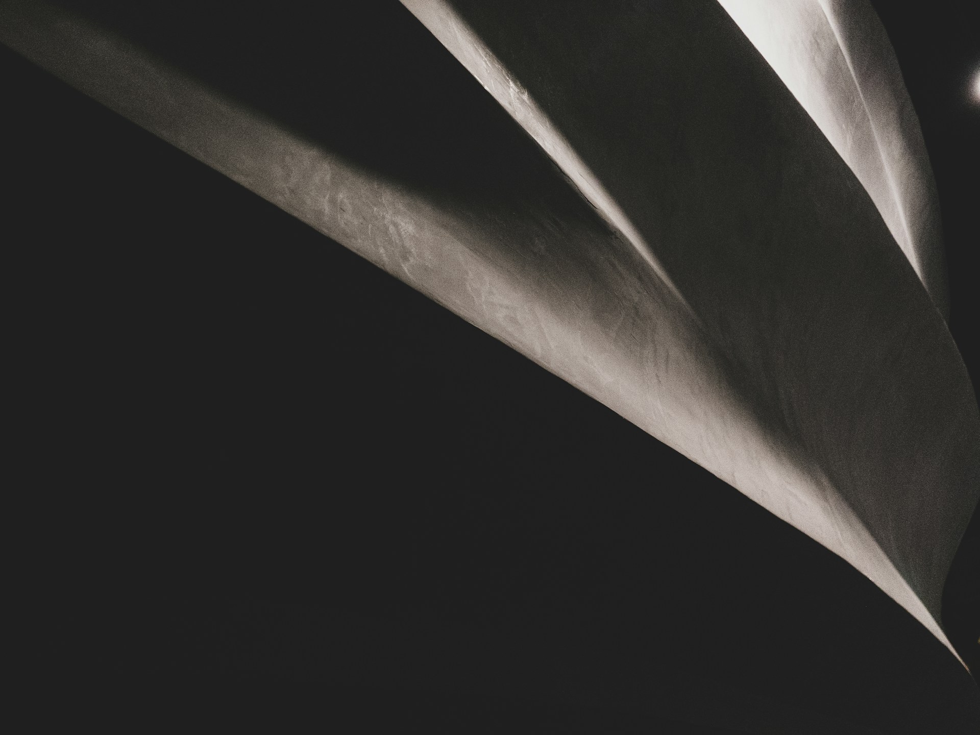 black and white digital wallpaper