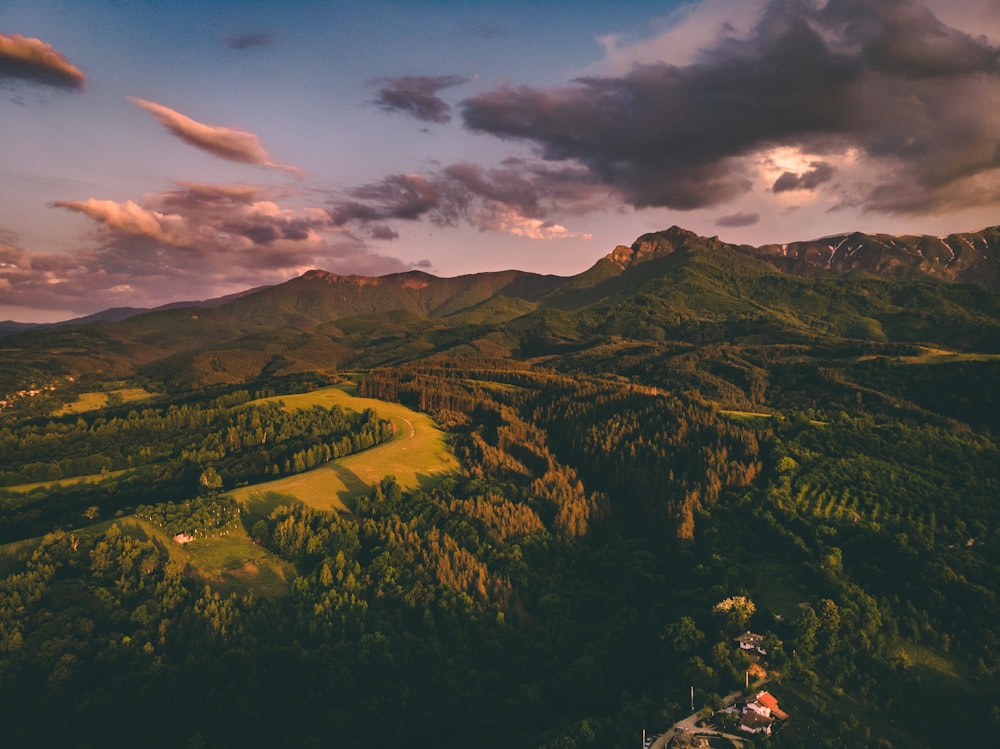 green trees on mountain under cloudy sky during daytime