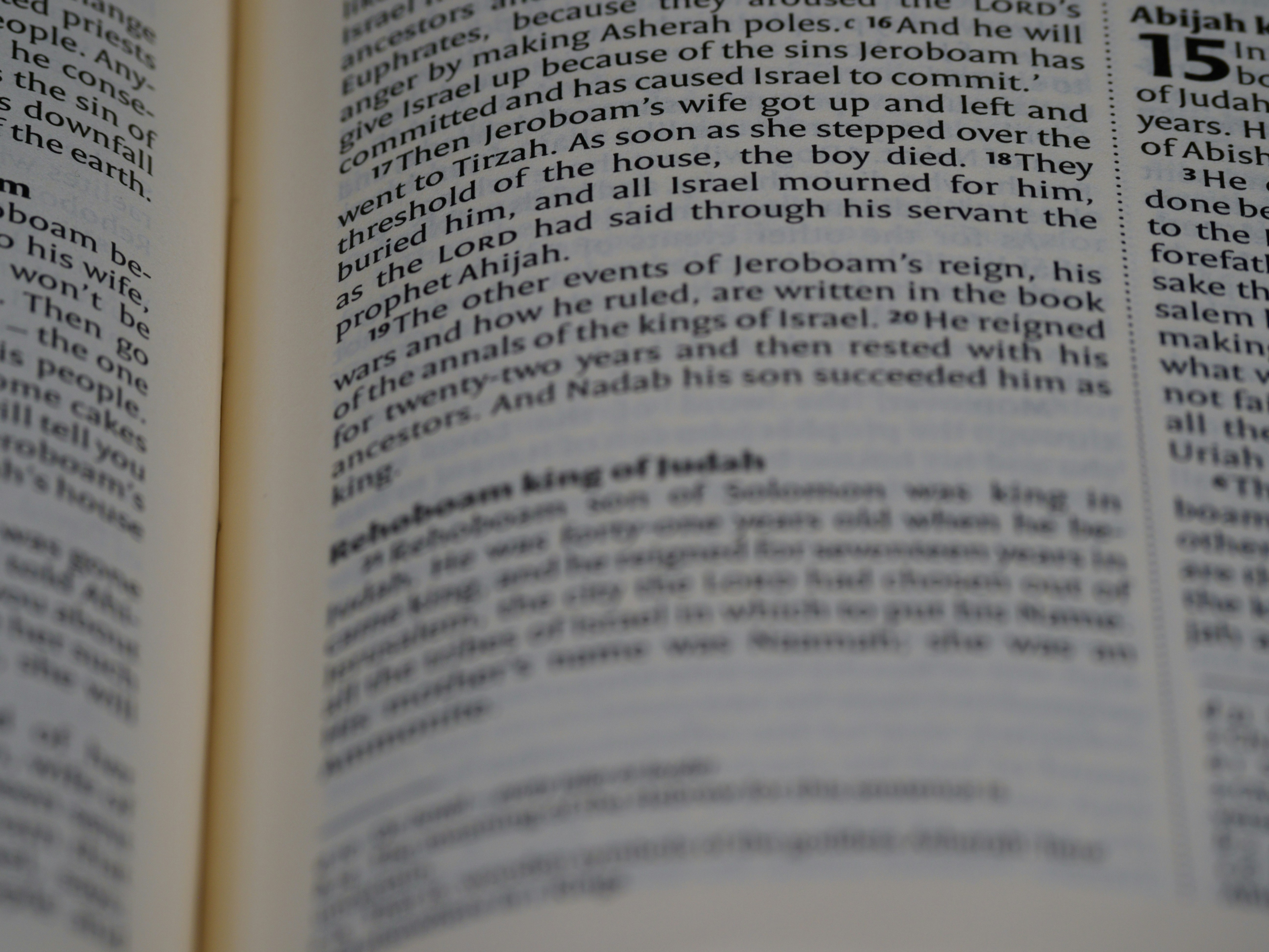 Photo by brett_jordan