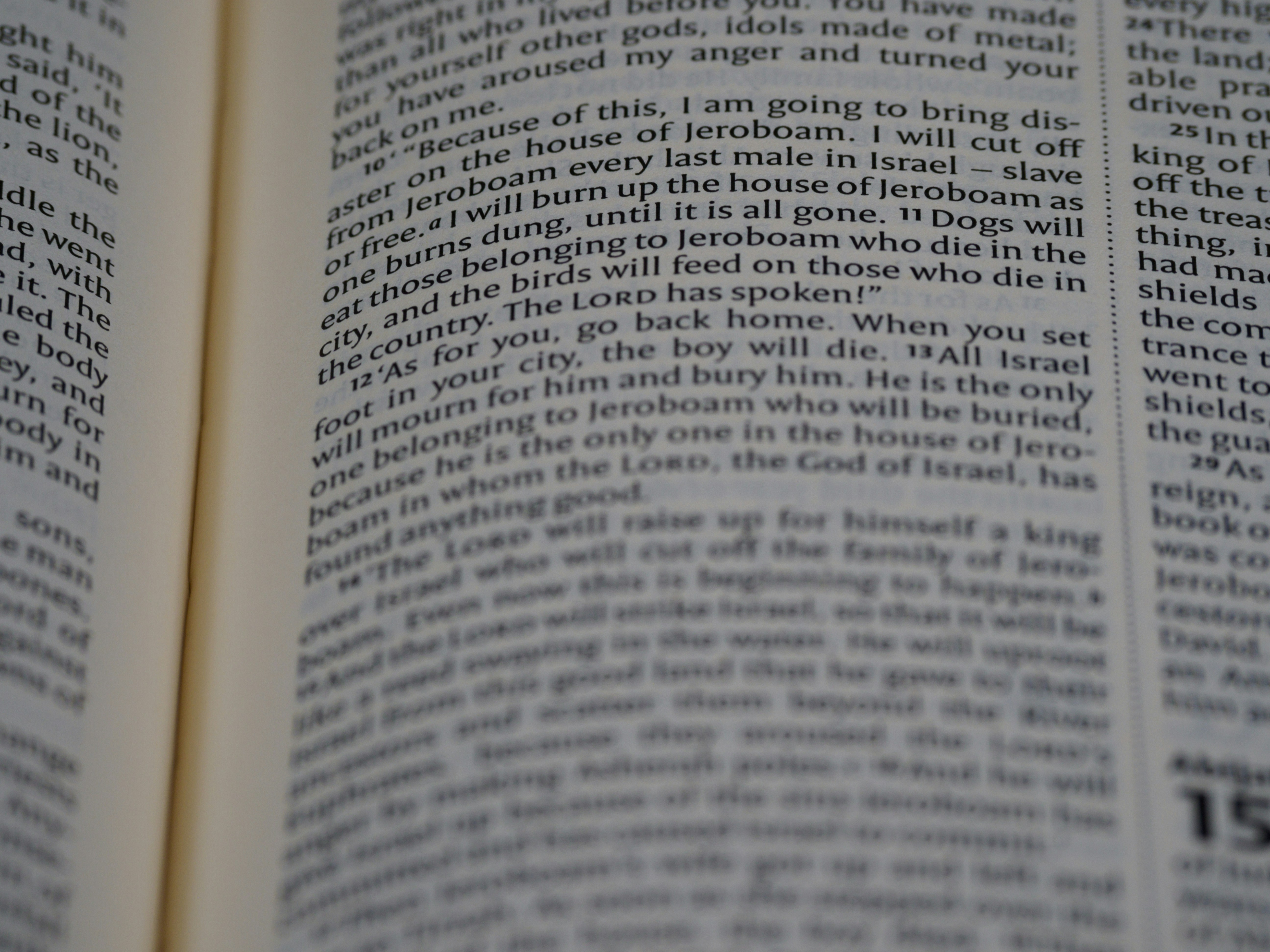 Photo by brett_jordan