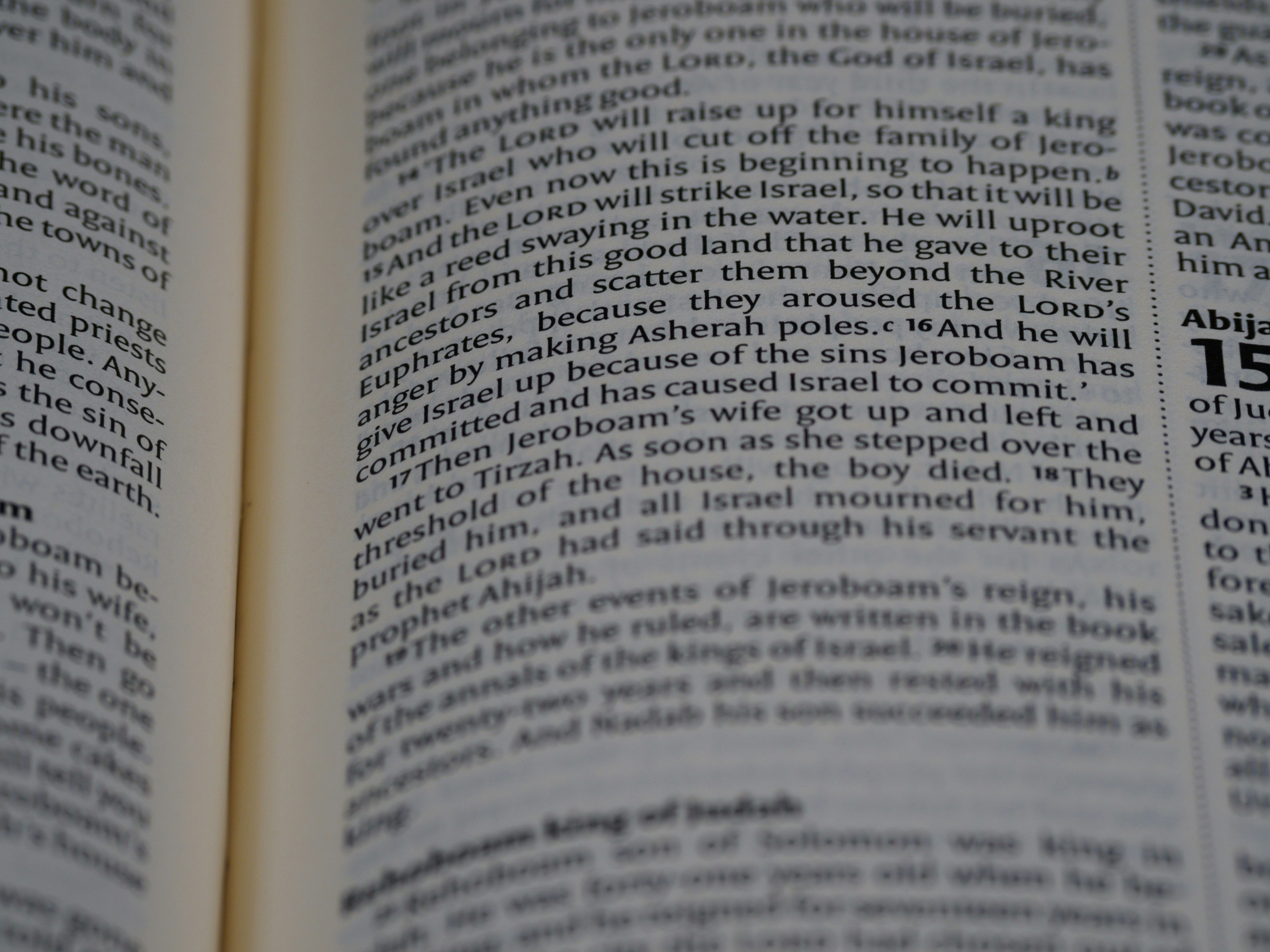 Photo by brett_jordan