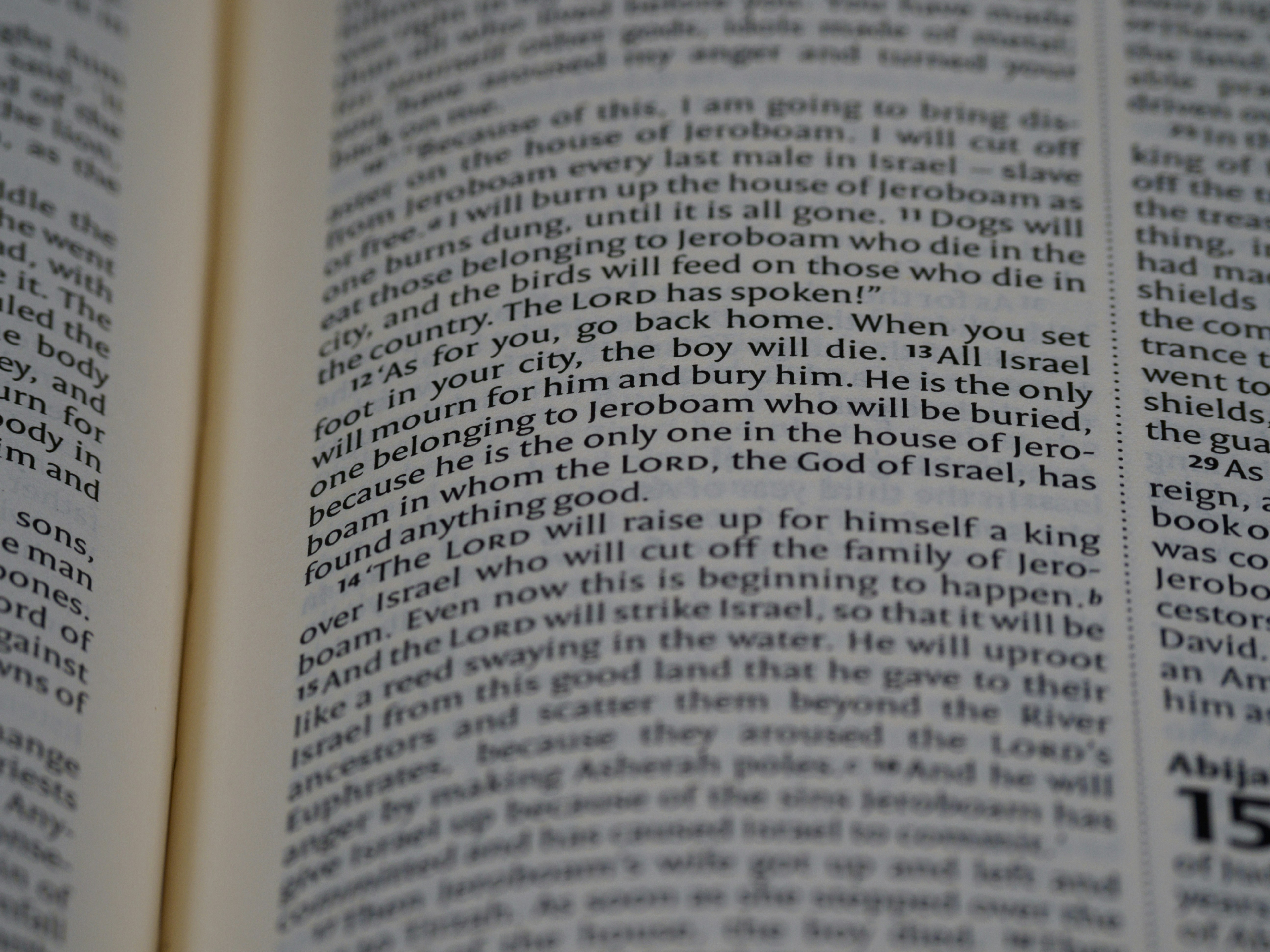 Photo by brett_jordan