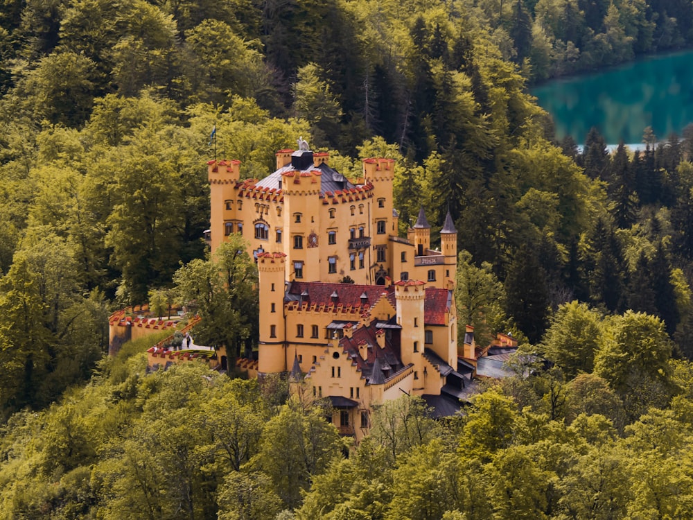 aerial view of brown castle surrounded by green trees during daytime