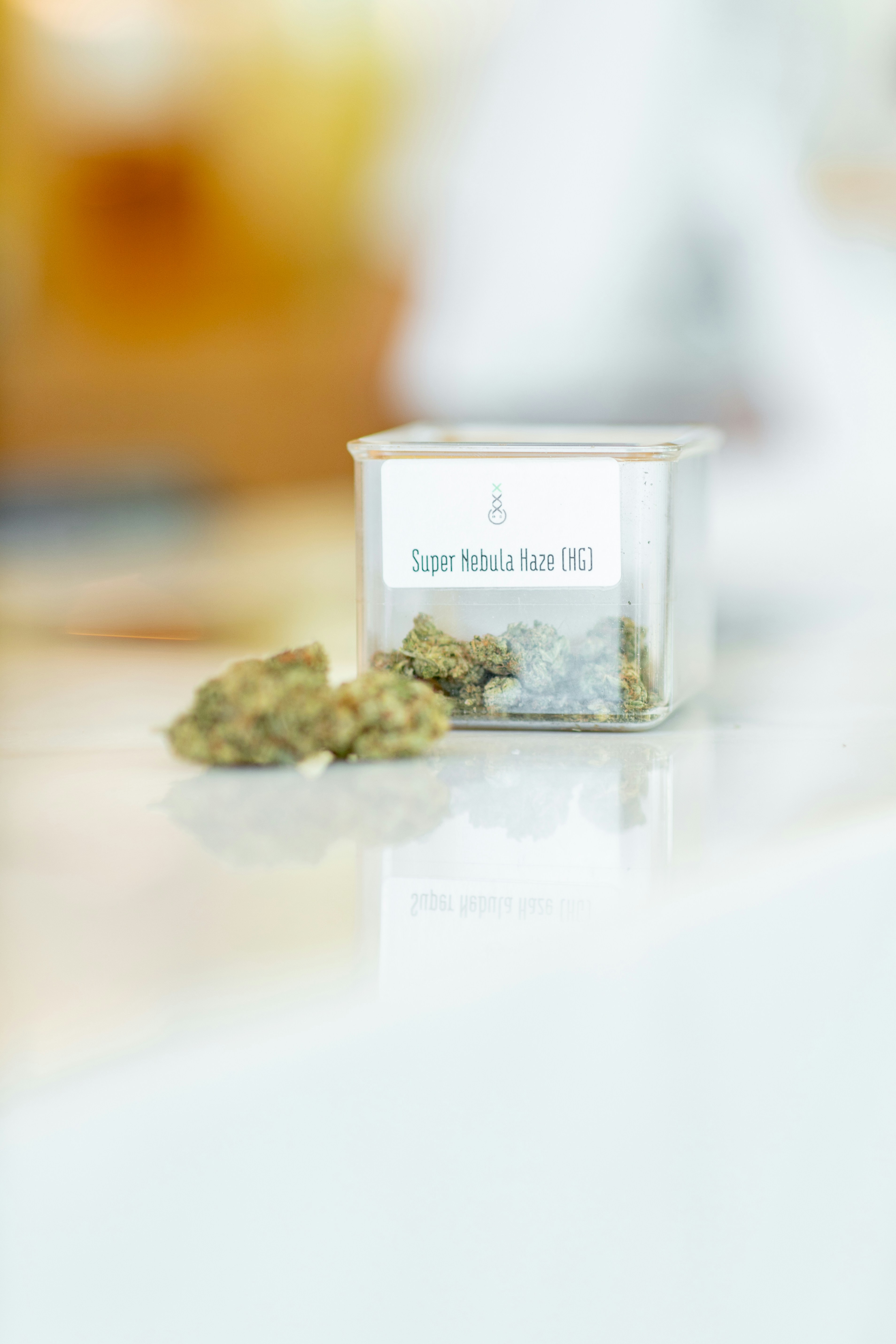 Review: De Prijs Coffeeshop, Where Strength Meets Quality