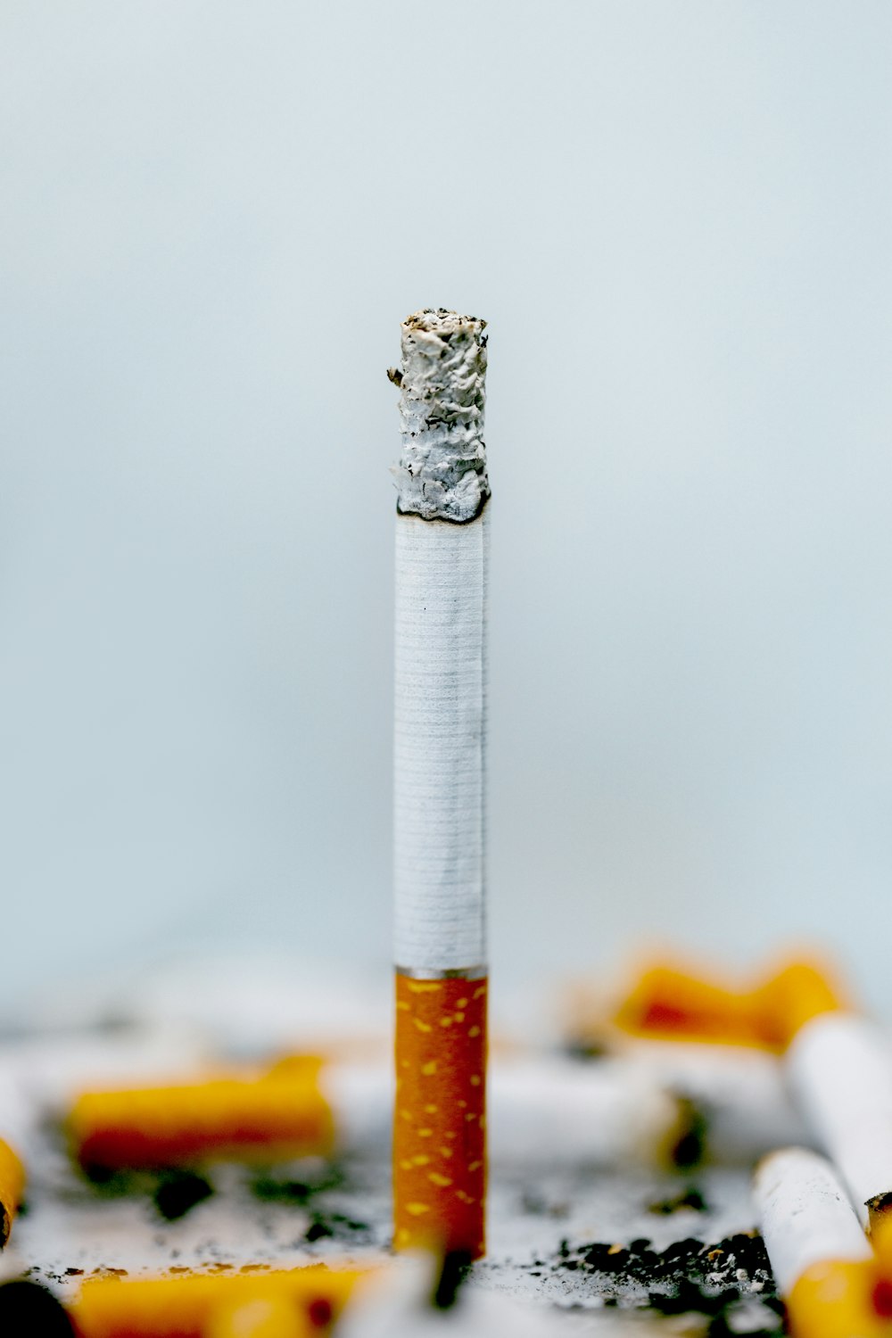 bâton de cigarette blanc et gris