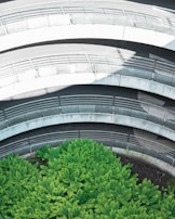 A top-down view of a spiraling concrete structure interspersed with a lush patch of vibrant green ferns at the base. The concrete pathways are adorned with railings and form circular patterns, creating a striking contrast between the natural and the man-made elements.