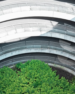 A top-down view of a spiraling concrete structure interspersed with a lush patch of vibrant green ferns at the base. The concrete pathways are adorned with railings and form circular patterns, creating a striking contrast between the natural and the man-made elements.