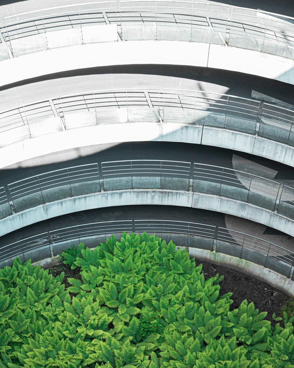 green plant on white concrete building