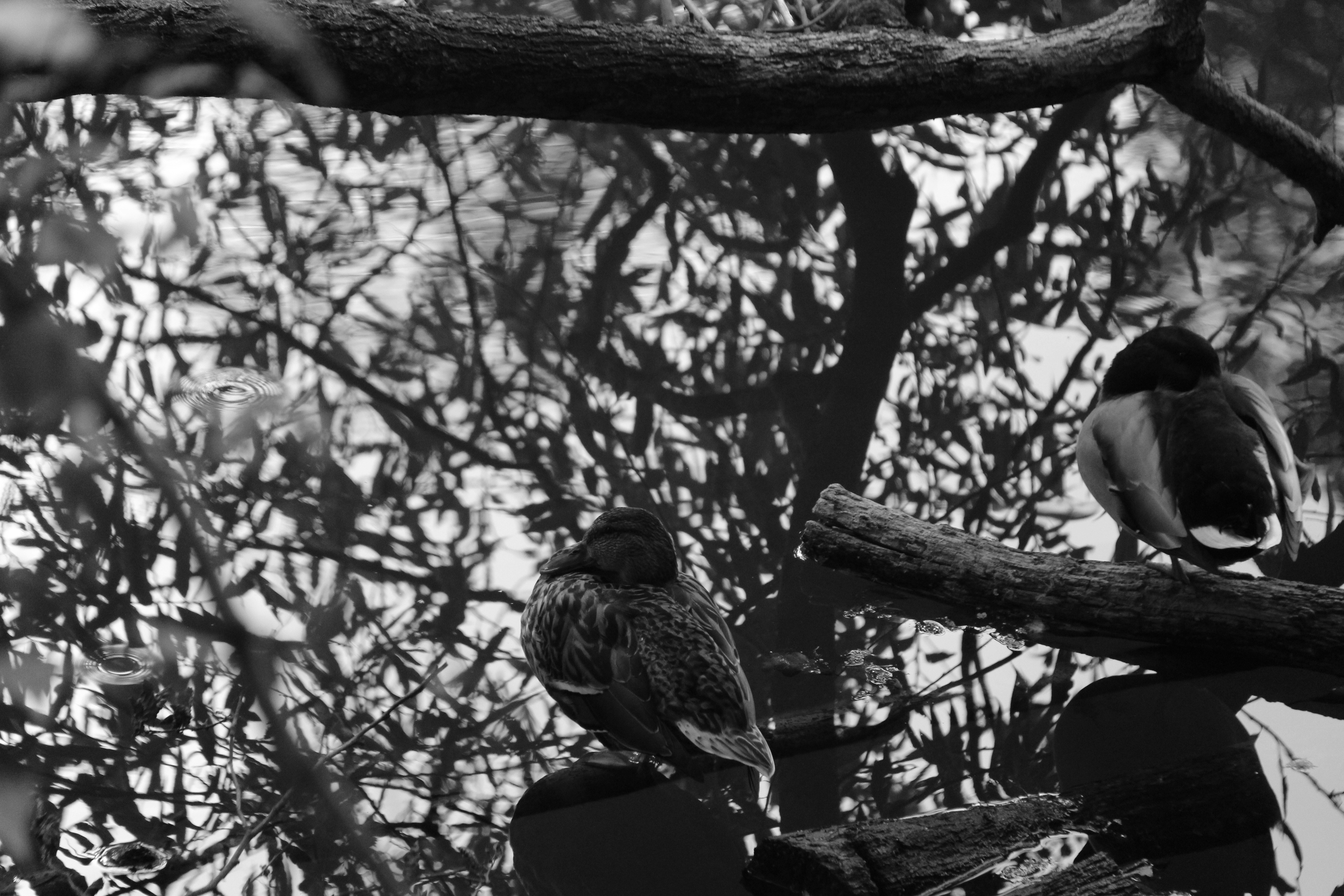 Photo by poseidonx