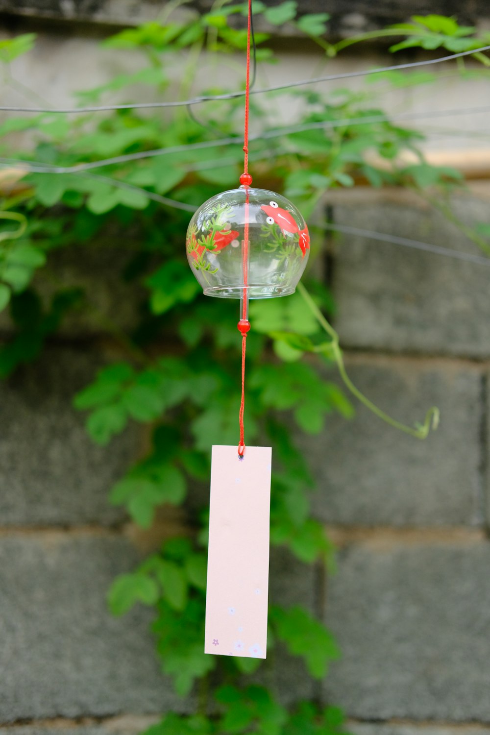 clear glass hanging decor with red and white rope