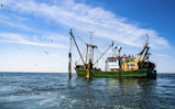 green and brown boat on sea under blue sky during daytime