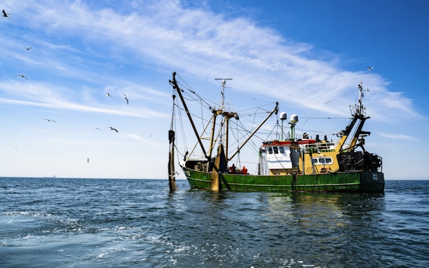 green and brown boat on sea under blue sky during daytime